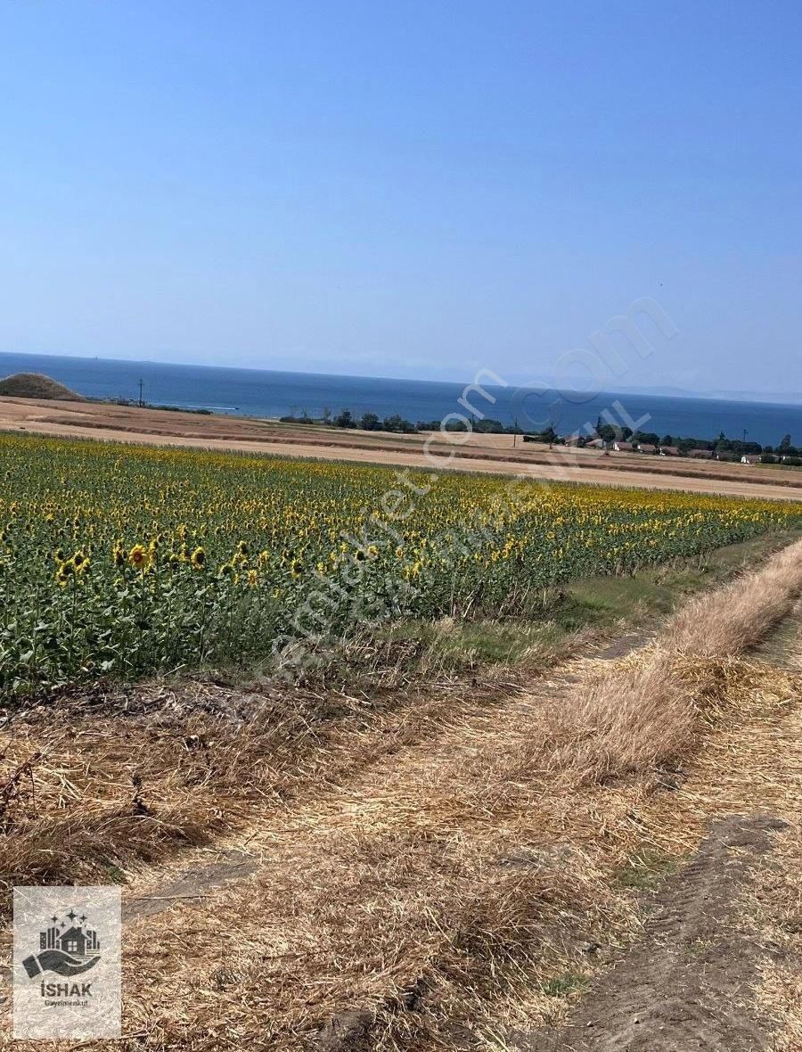 Marmaraereğlisi Çeşmeli Satılık Tarla Tekirdağ Marmaraereğlisi Çeşmeli Satılık Tarla