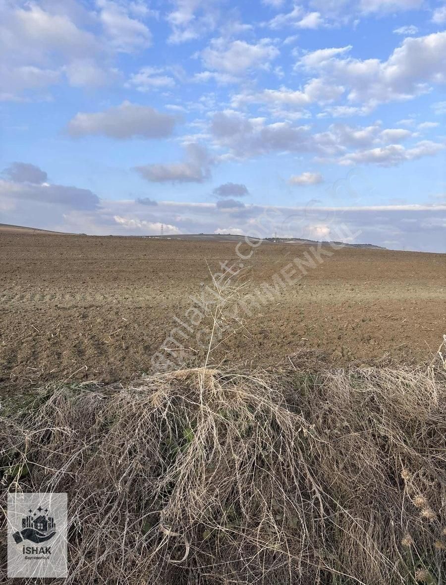 Marmaraereğlisi Çeşmeli Satılık Tarla Tekirdağ Marmaraereğlisi Çeşmeli Mahallesi