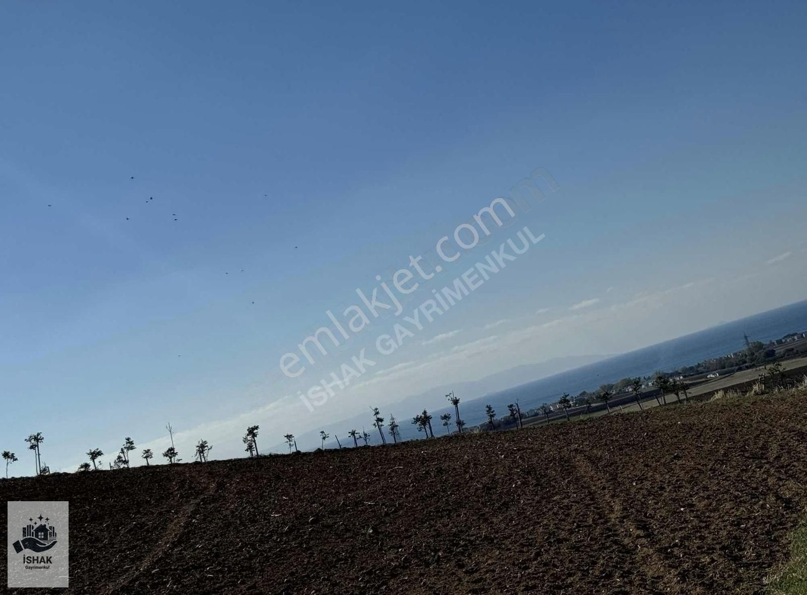 Marmaraereğlisi Çeşmeli Satılık Tarla Tekirdağ Marmara Ereğlisi Çeşmeli Mahallesi