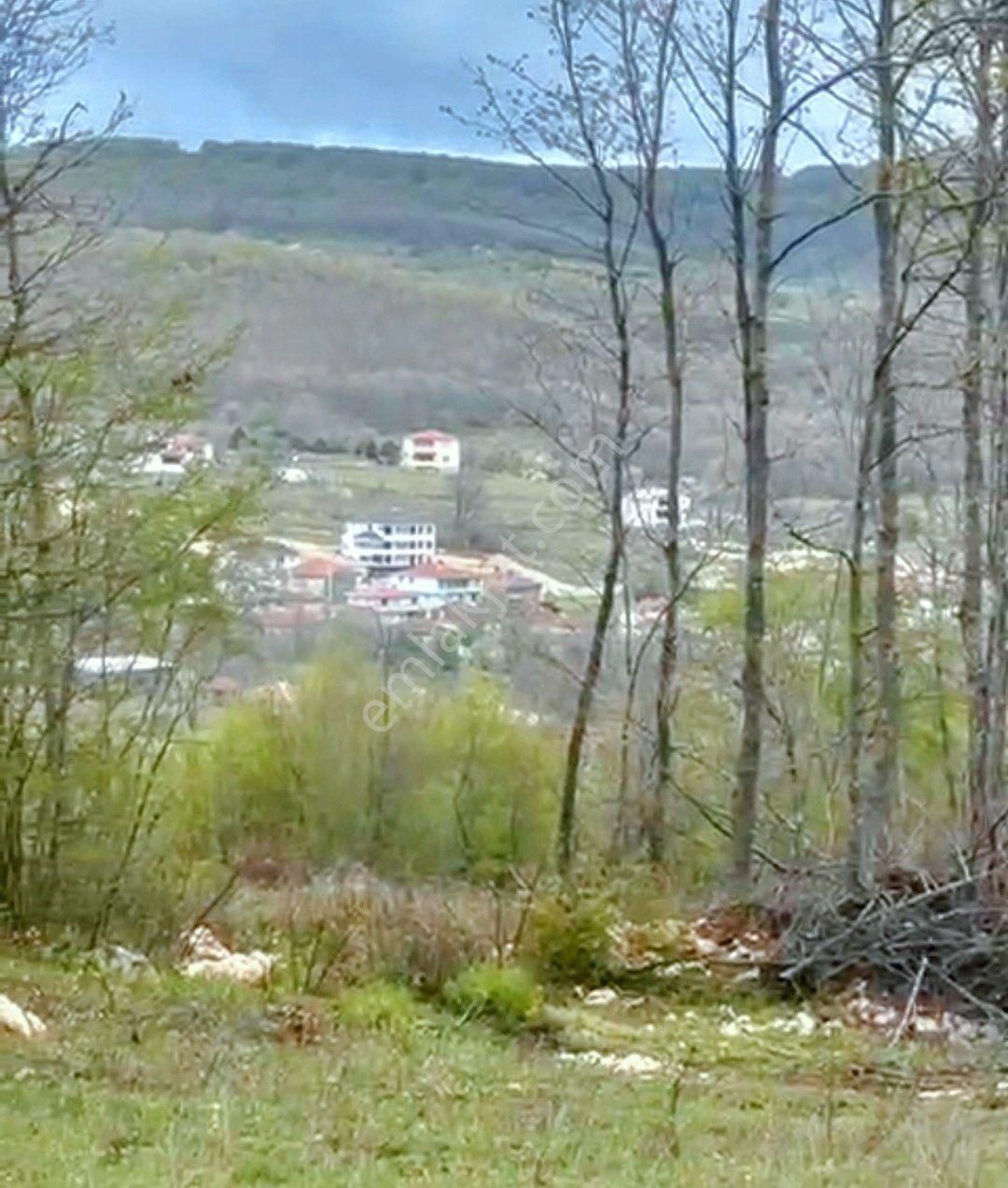 Vize Kömürköy Köyü Satılık Tarla Vize Kömürköy 8670m² Tek Tapu Köye Yakın Satılık Arazı