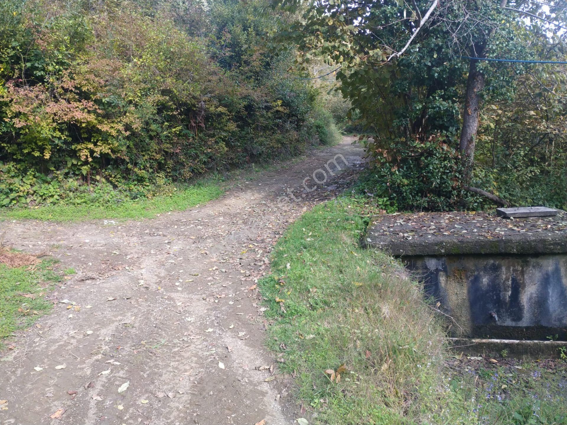 Sahibinden Satılık Müstakil Tapulu Yolu Olan Arsa - Görsel 6