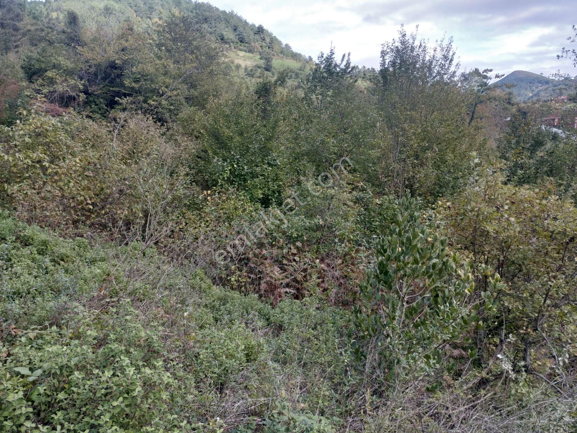 Sahibinden Satılık Müstakil Tapulu Yolu Olan Arsa - Görsel 3