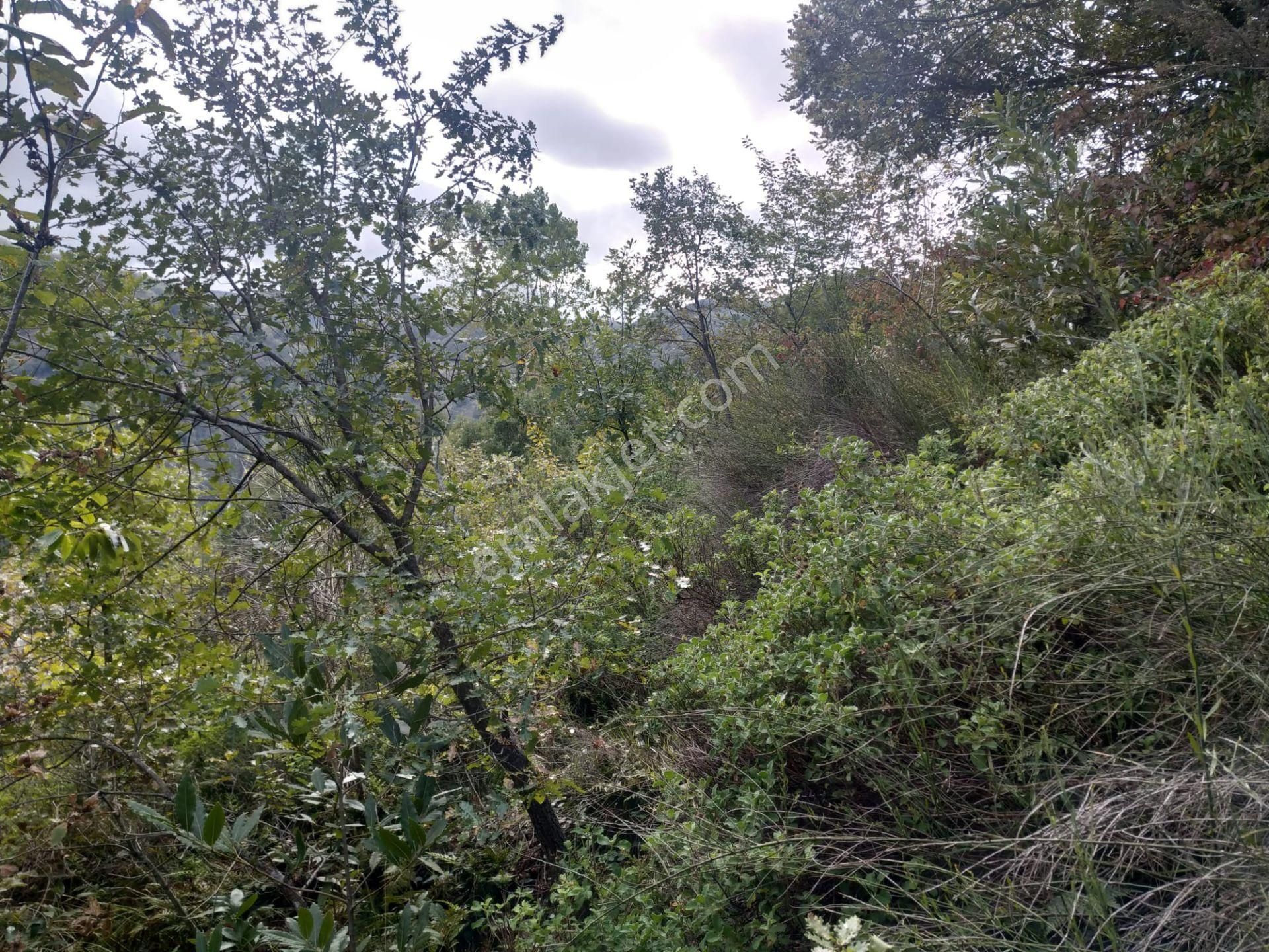 Sahibinden Satılık Müstakil Tapulu Yolu Olan Arsa - Görsel 16