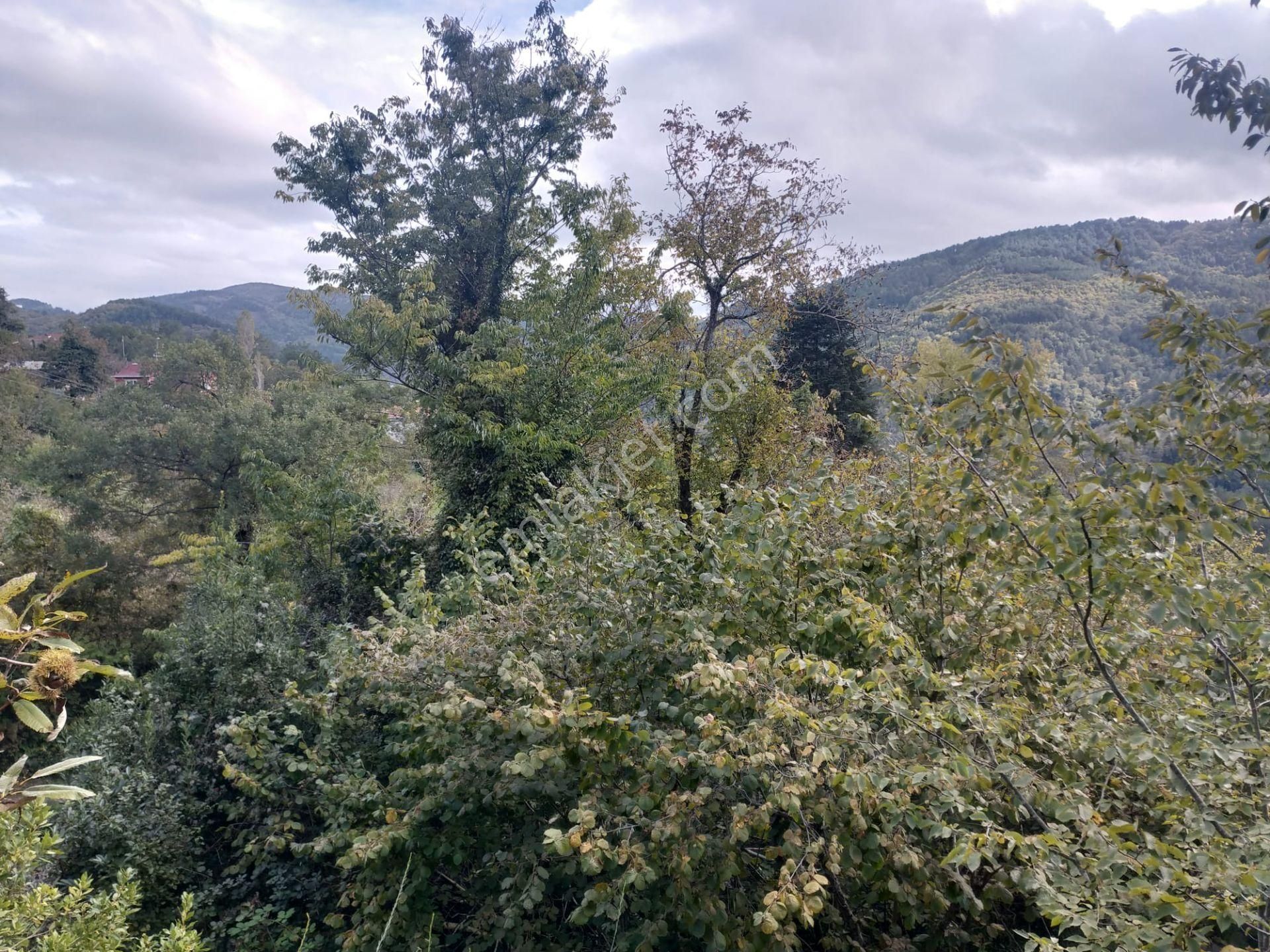 Sahibinden Satılık Müstakil Tapulu Yolu Olan Arsa - Görsel 12