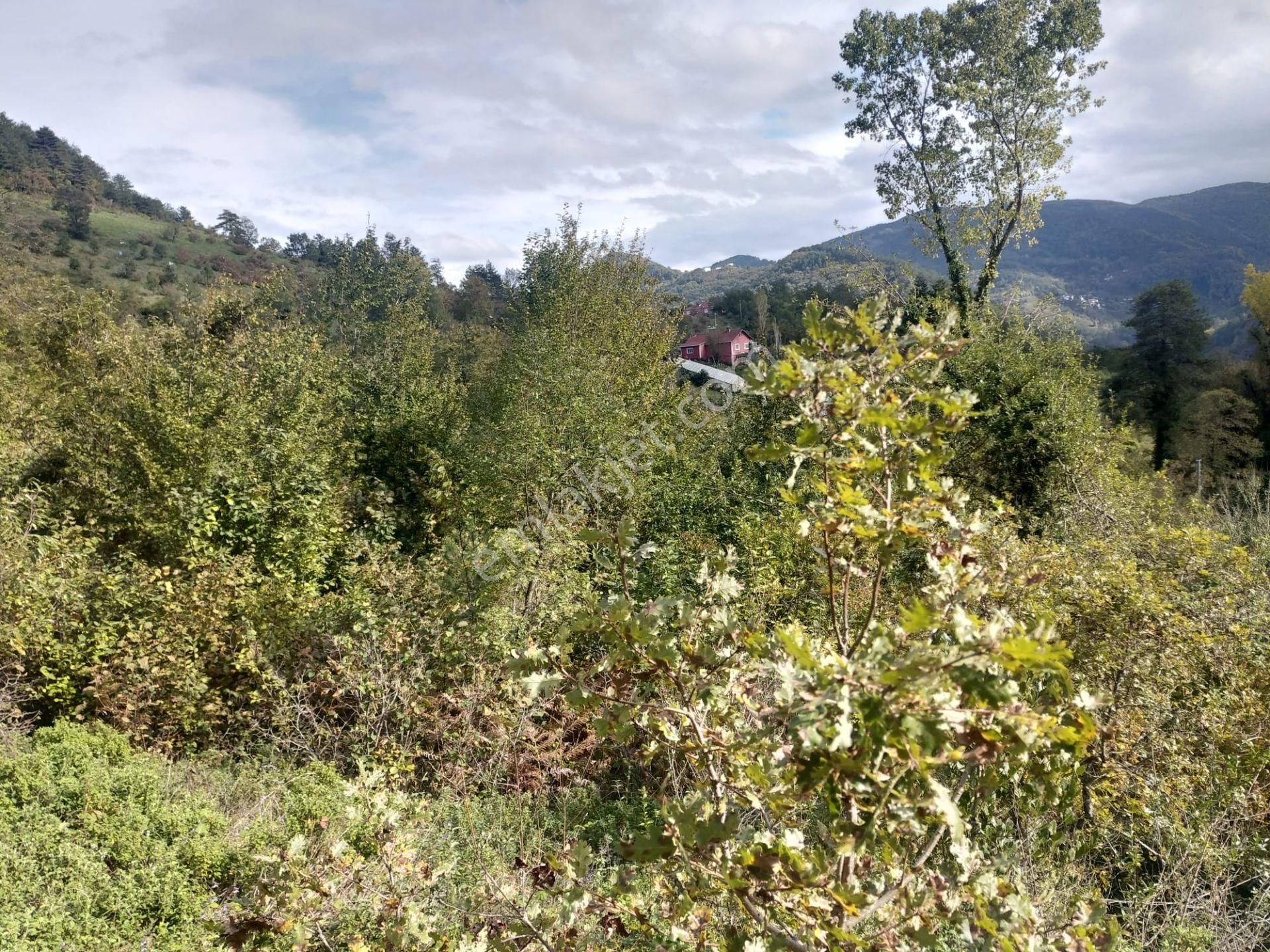 Sahibinden Satılık Müstakil Tapulu Yolu Olan Arsa - Görsel 9