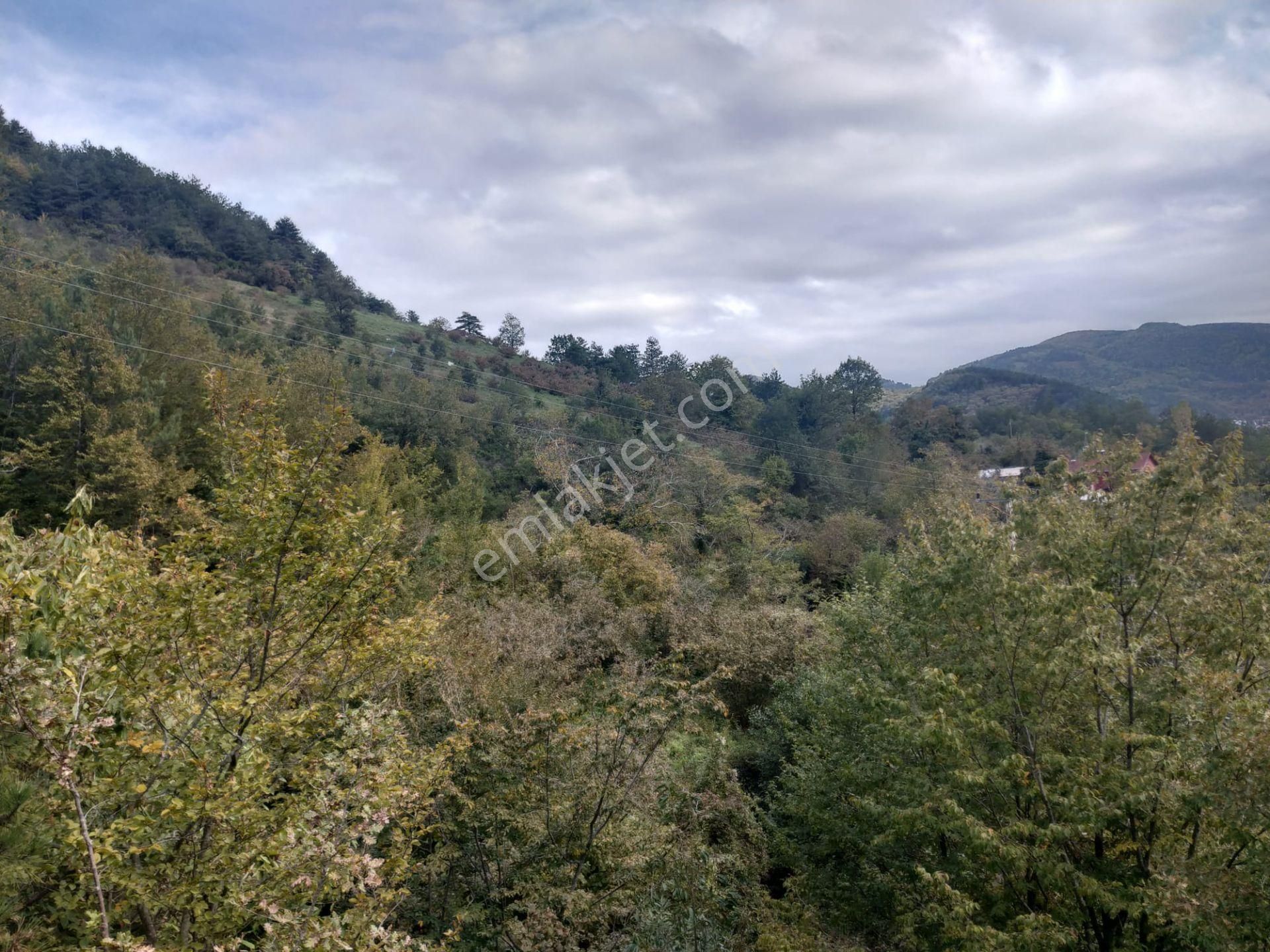 Sahibinden Satılık Müstakil Tapulu Yolu Olan Arsa - Görsel 15