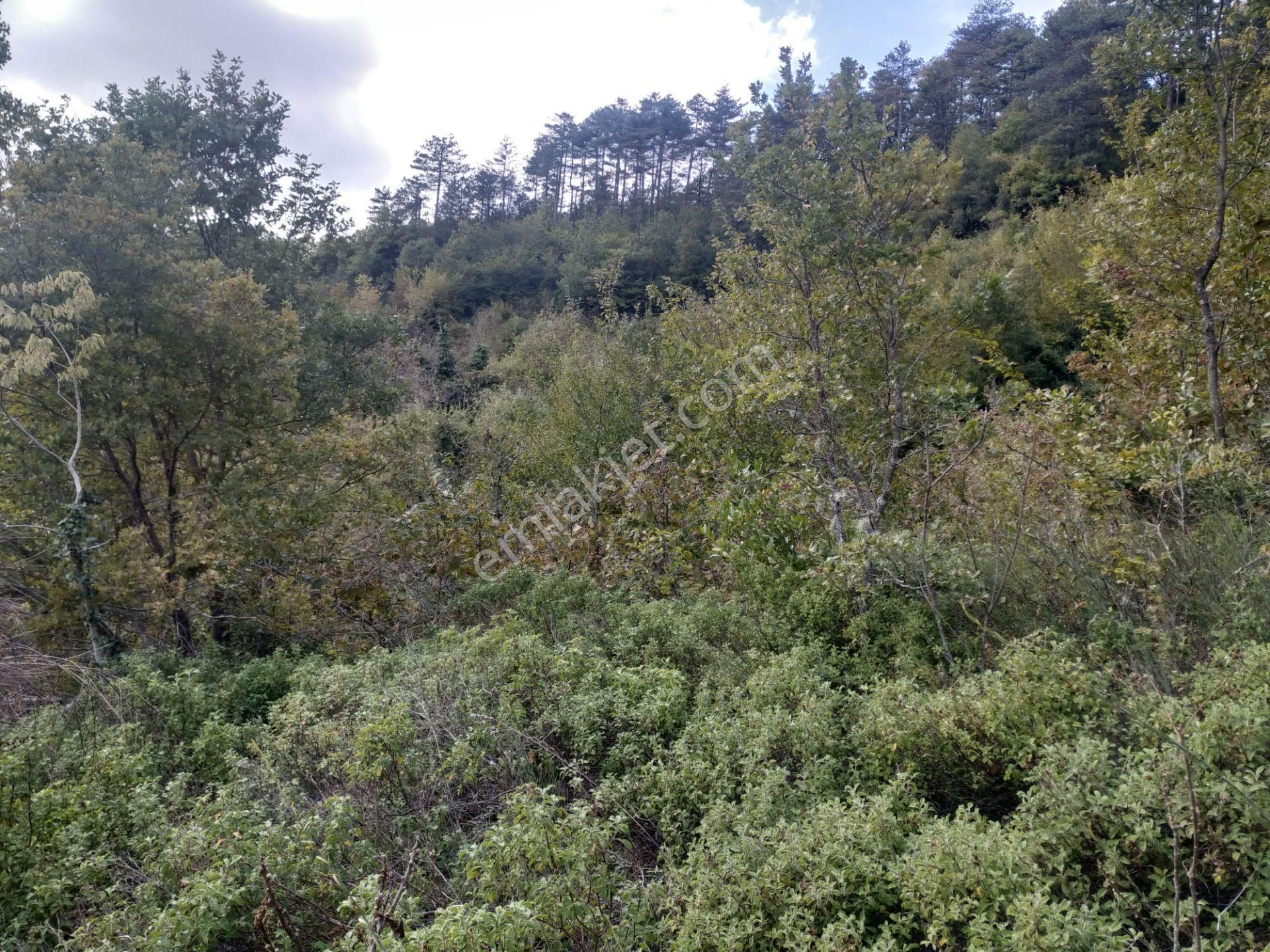 Sahibinden Satılık Müstakil Tapulu Yolu Olan Arsa - Görsel 13