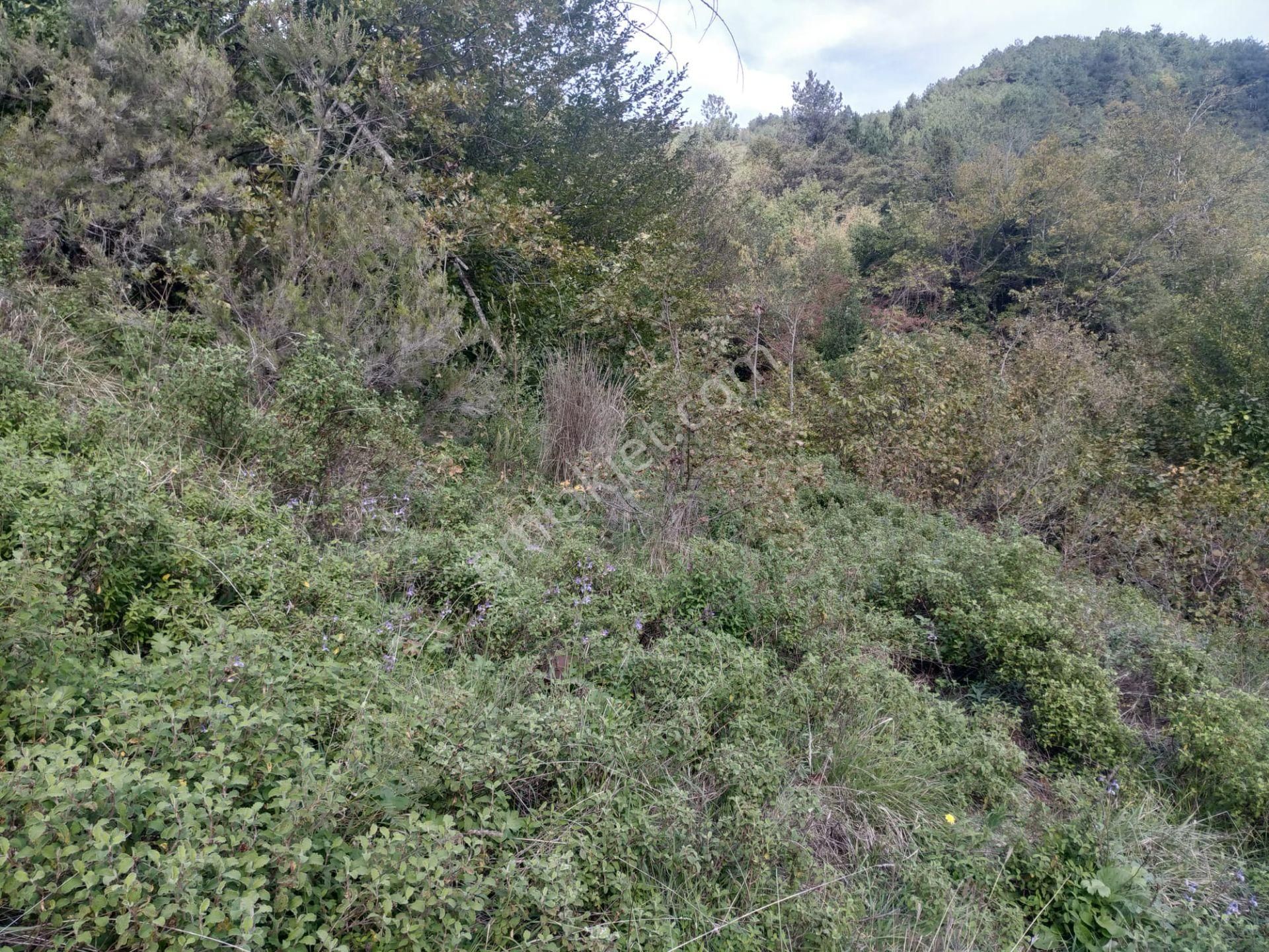 Sahibinden Satılık Müstakil Tapulu Yolu Olan Arsa - Görsel 8