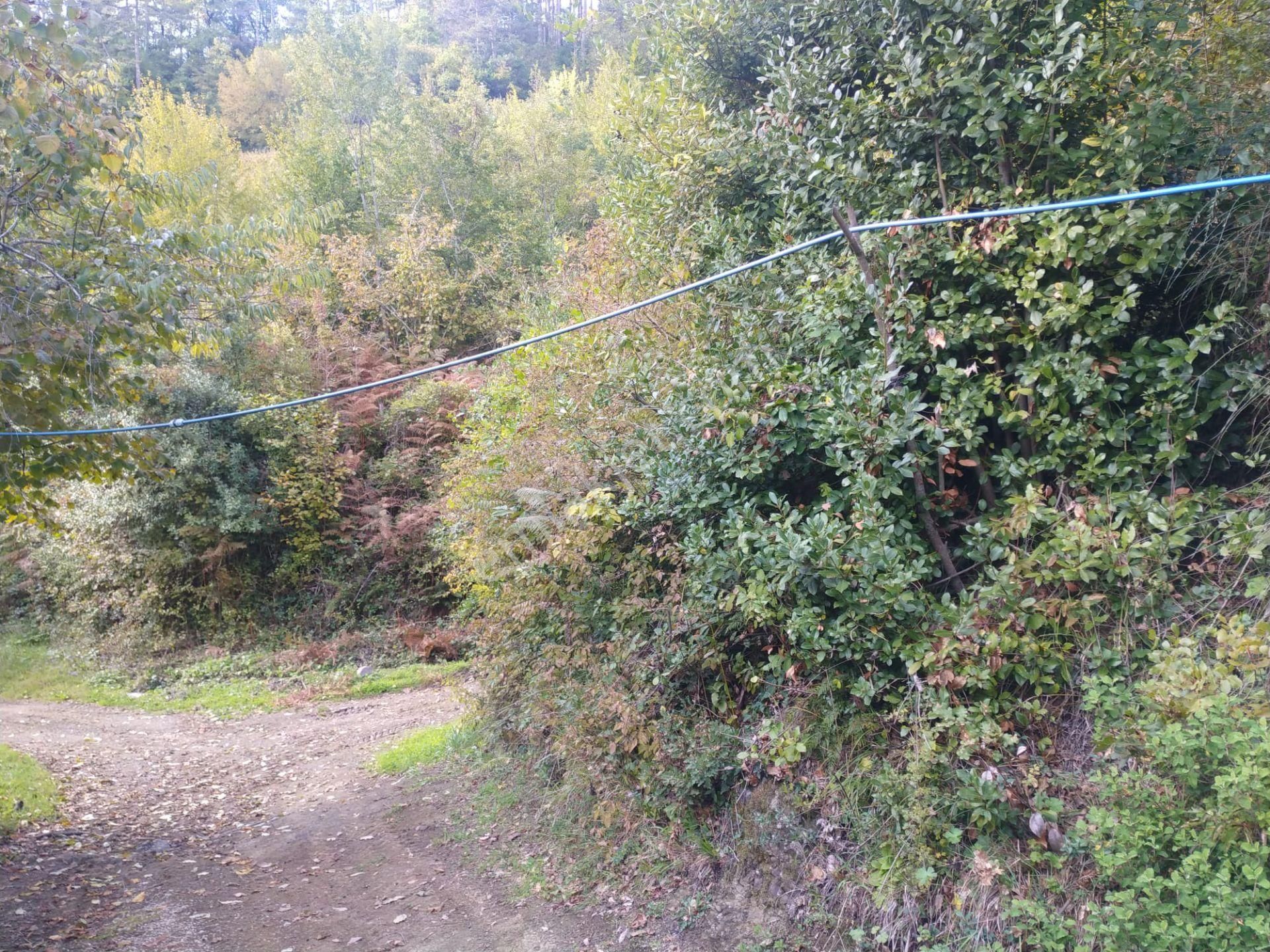 Sahibinden Satılık Müstakil Tapulu Yolu Olan Arsa - Görsel 5