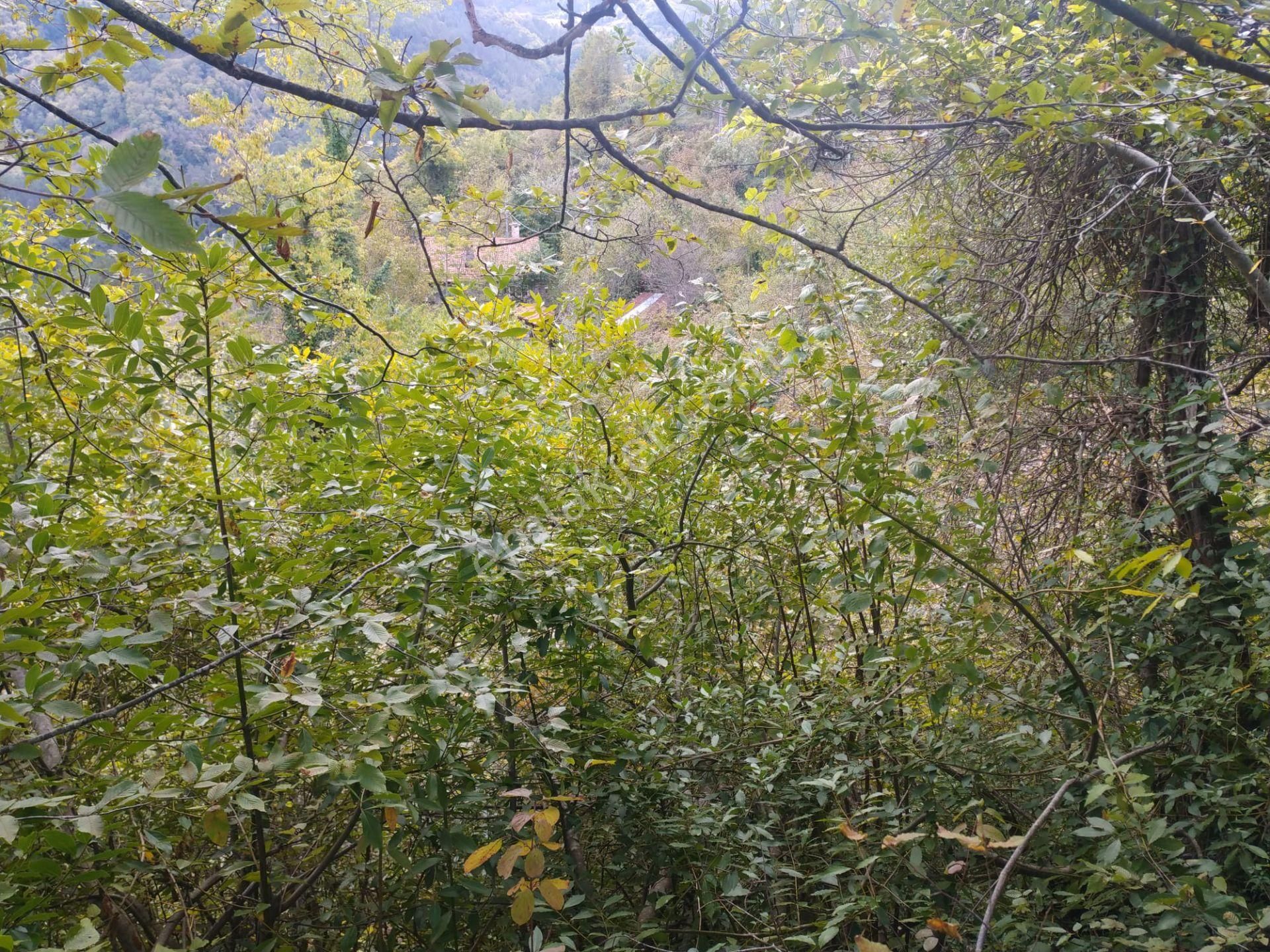 Sahibinden Satılık Müstakil Tapulu Yolu Olan Arsa - Görsel 18