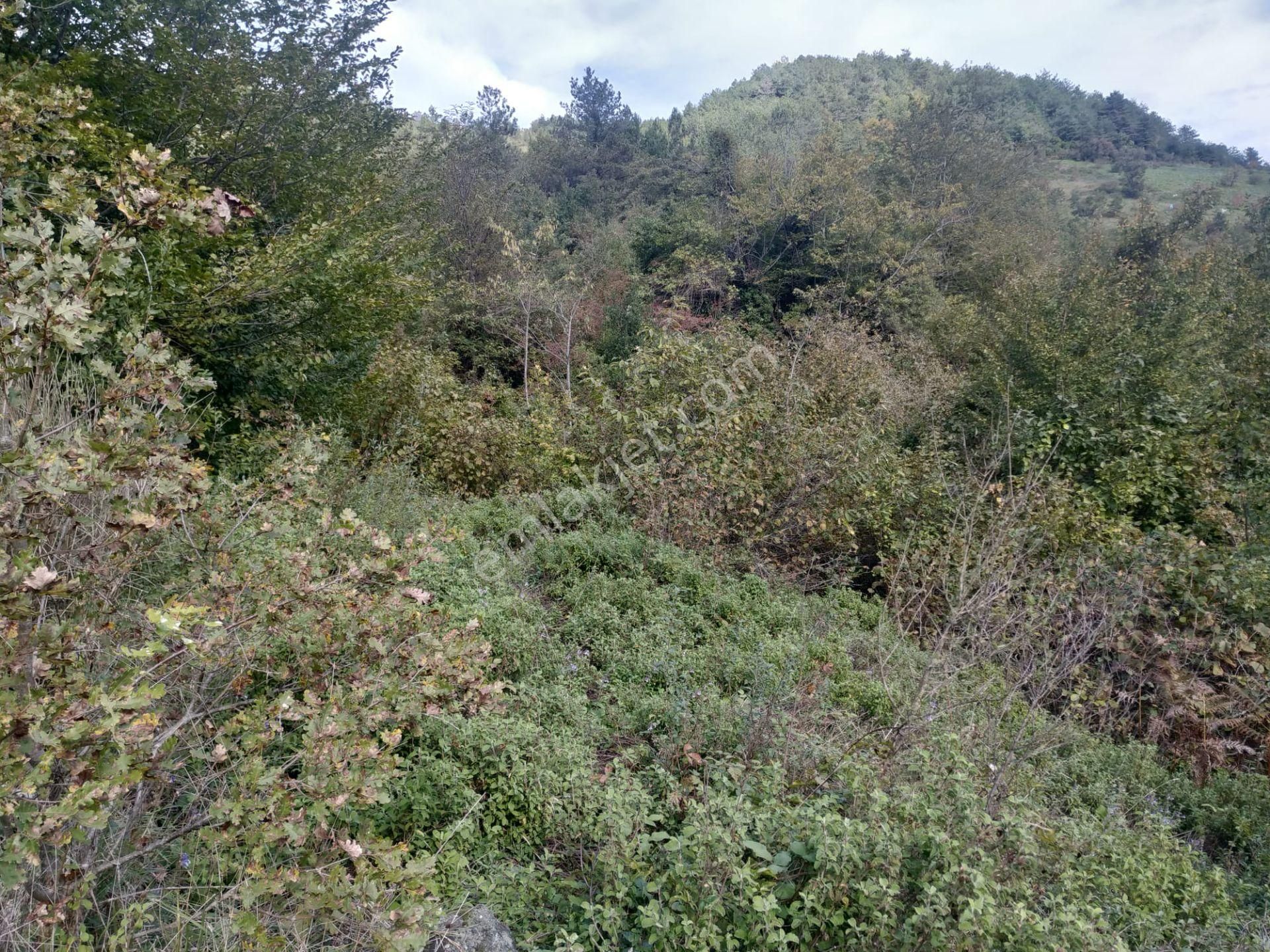 Sahibinden Satılık Müstakil Tapulu Yolu Olan Arsa - Görsel 11