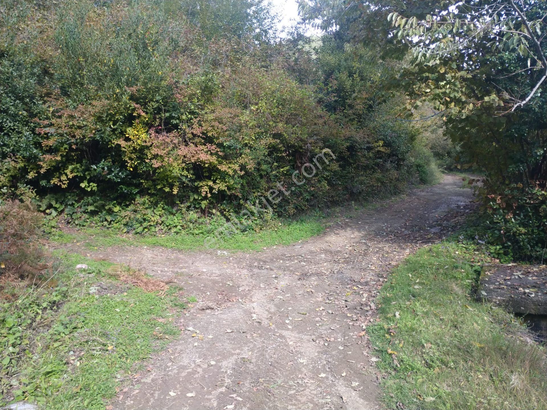 Sahibinden Satılık Müstakil Tapulu Yolu Olan Arsa - Görsel 7