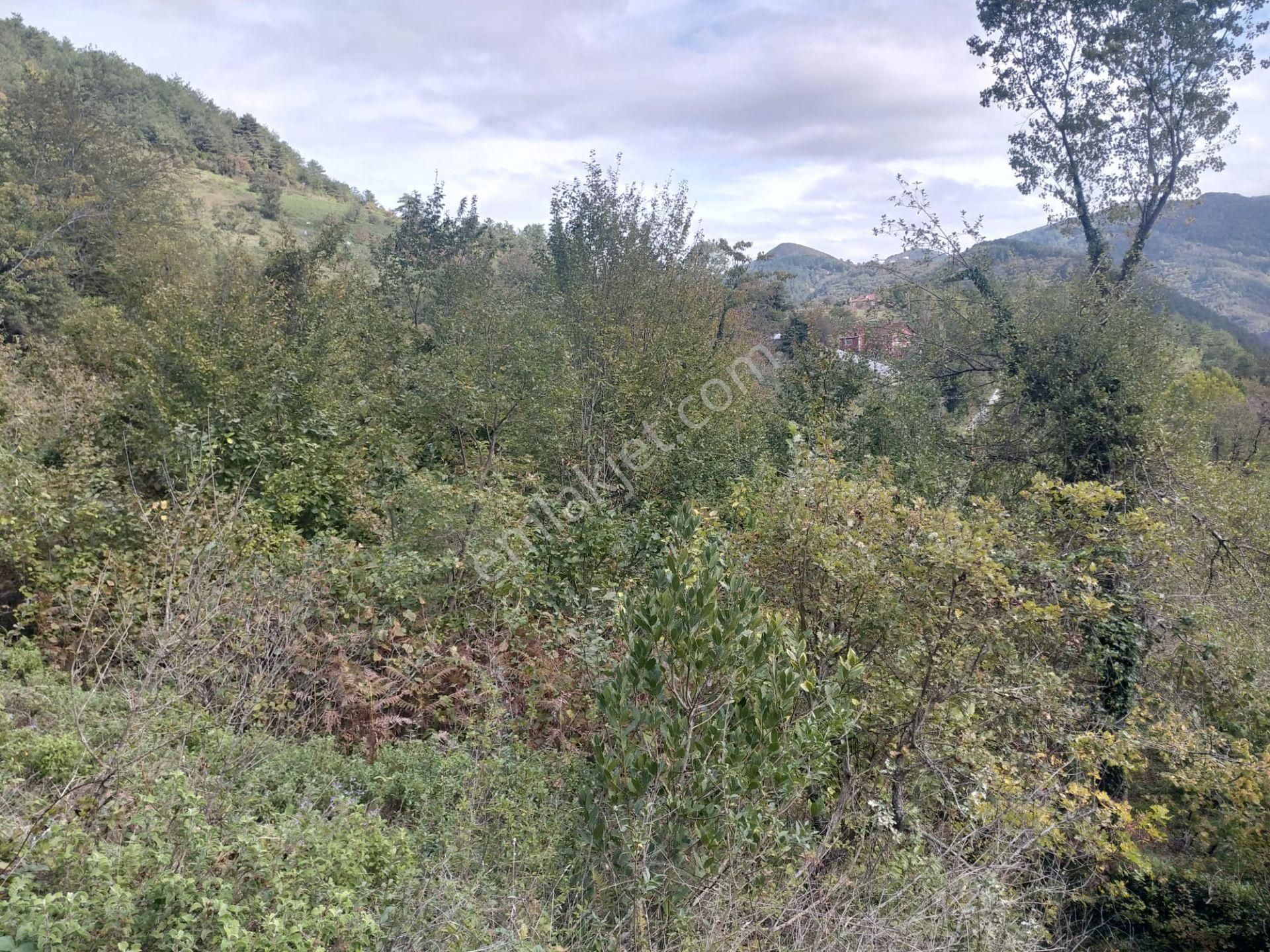 Sahibinden Satılık Müstakil Tapulu Yolu Olan Arsa - Görsel 2