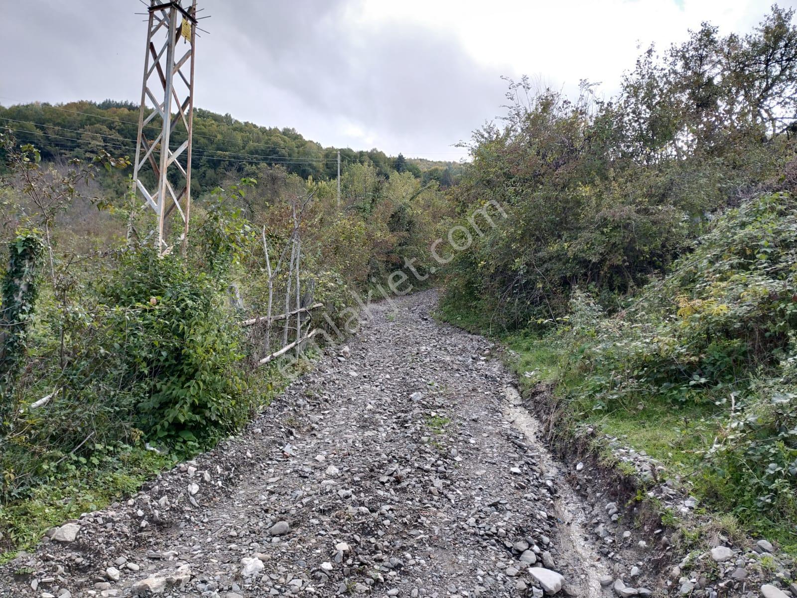 Sahibinden Müstakil Tapulu Köy İçinde Yolu Olan Satılık Arsa - Görsel 3