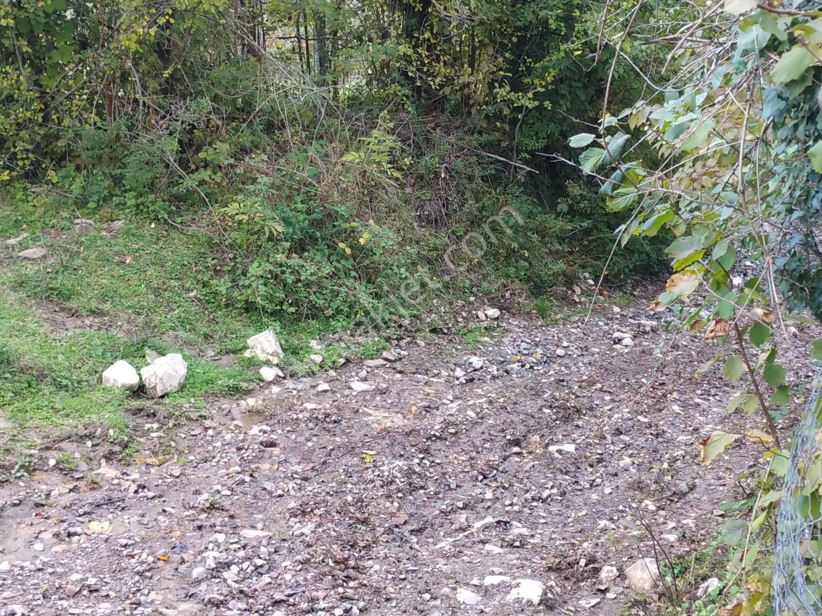Sahibinden Müstakil Tapulu Köy İçinde Yolu Olan Satılık Arsa - Görsel 6