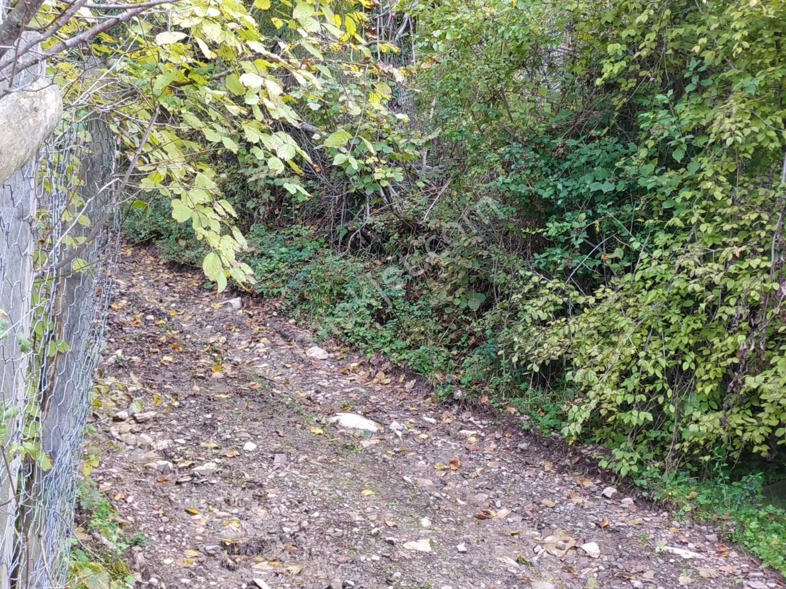 Sahibinden Müstakil Tapulu Köy İçinde Yolu Olan Satılık Arsa - Görsel 7