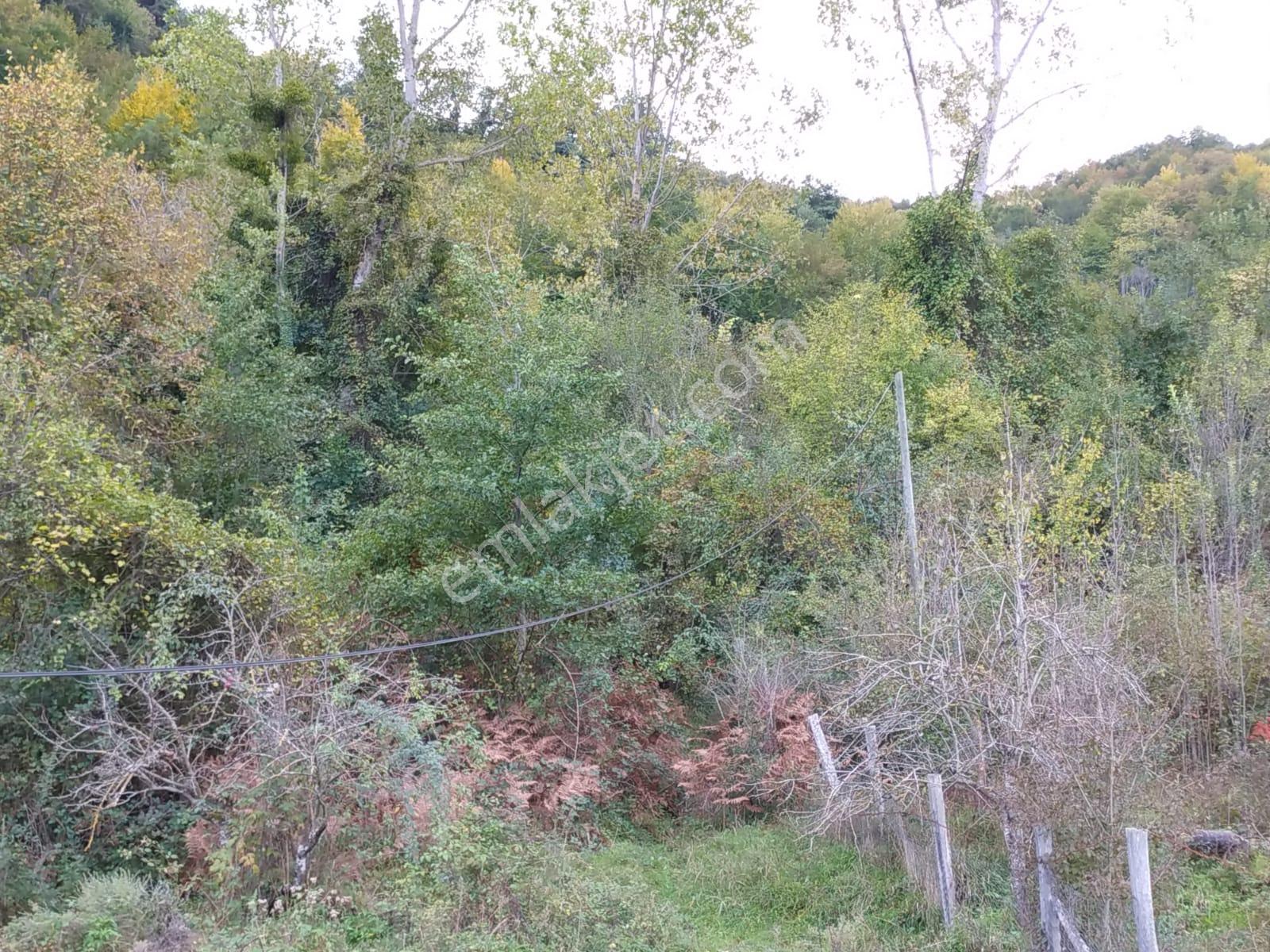 Sahibinden Müstakil Tapulu Köy İçinde Yolu Olan Satılık Arsa - Görsel 8