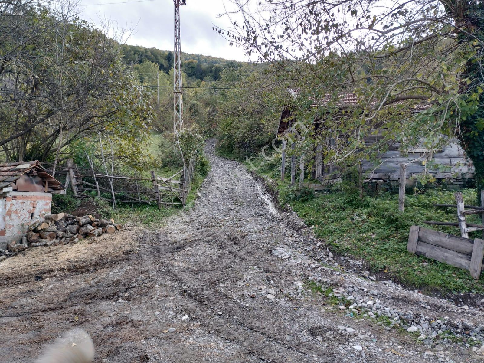 Sahibinden Müstakil Tapulu Köy İçinde Yolu Olan Satılık Arsa - Görsel 2