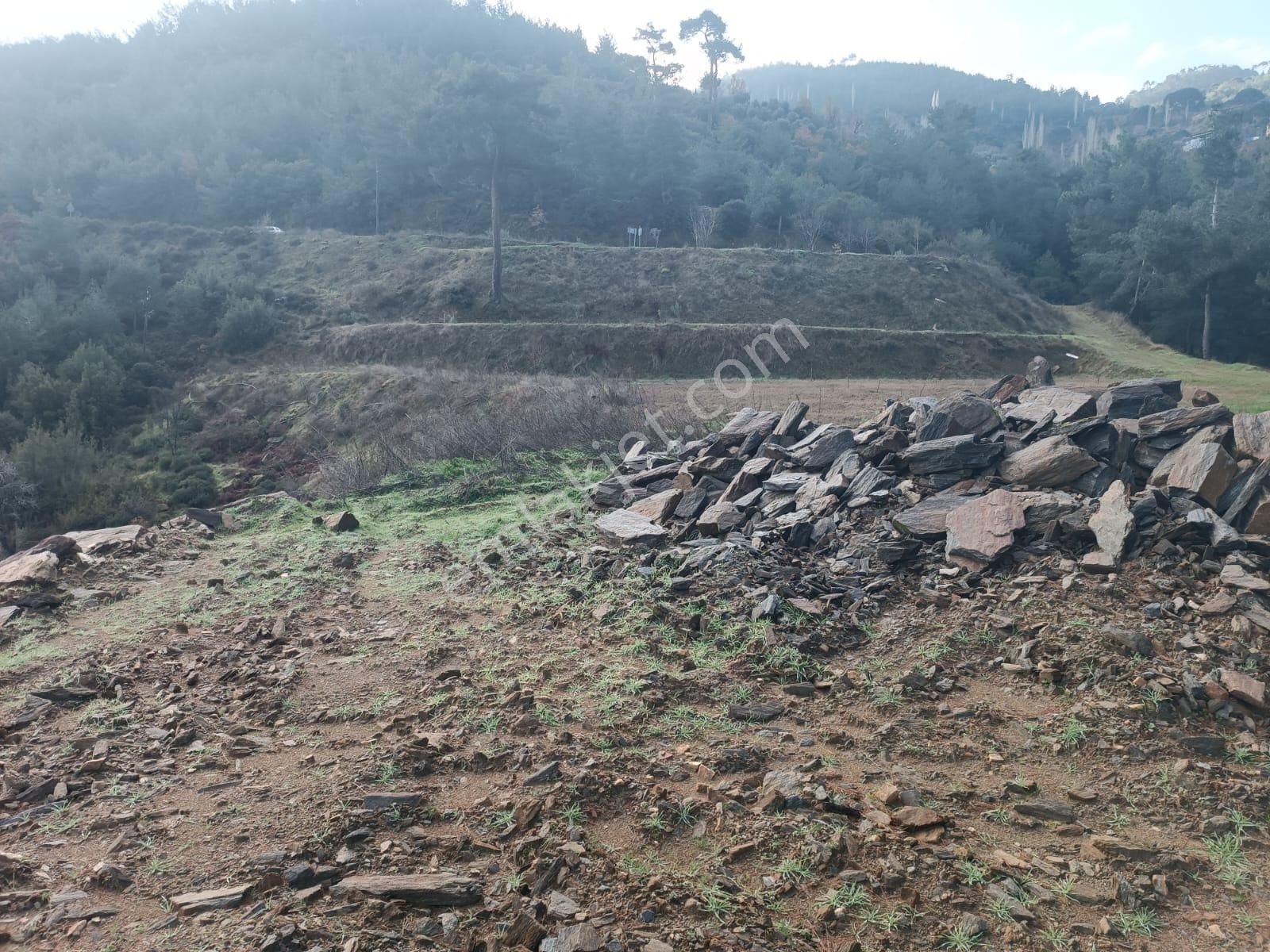 Egelimden Bozdoğan Altıntaş Mevki 2914 M2 Satılık Bahçe - Görsel 11