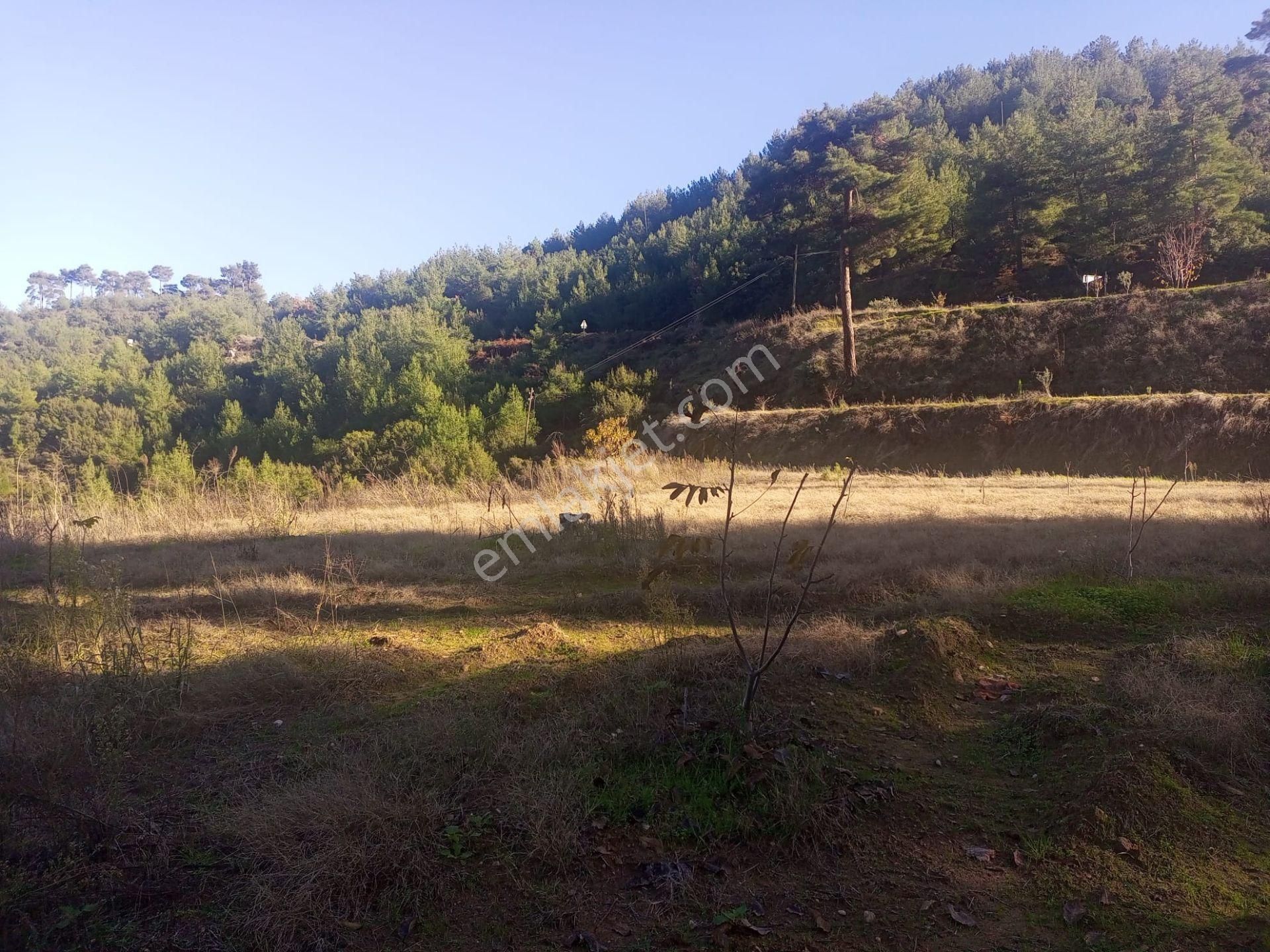 Egelimden Bozdoğan Altıntaş Mevki 2914 M2 Satılık Bahçe - Görsel 3