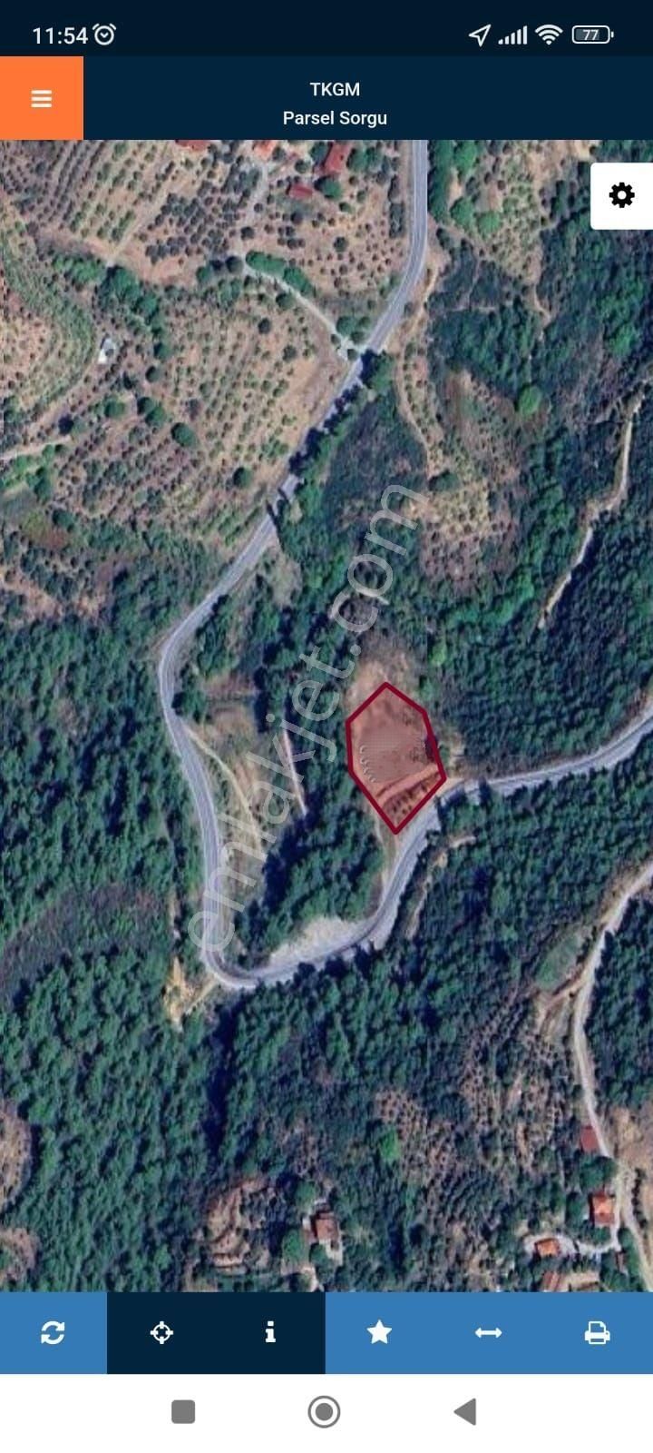 Egelimden Bozdoğan Altıntaş Mevki 2914 M2 Satılık Bahçe - Görsel 16