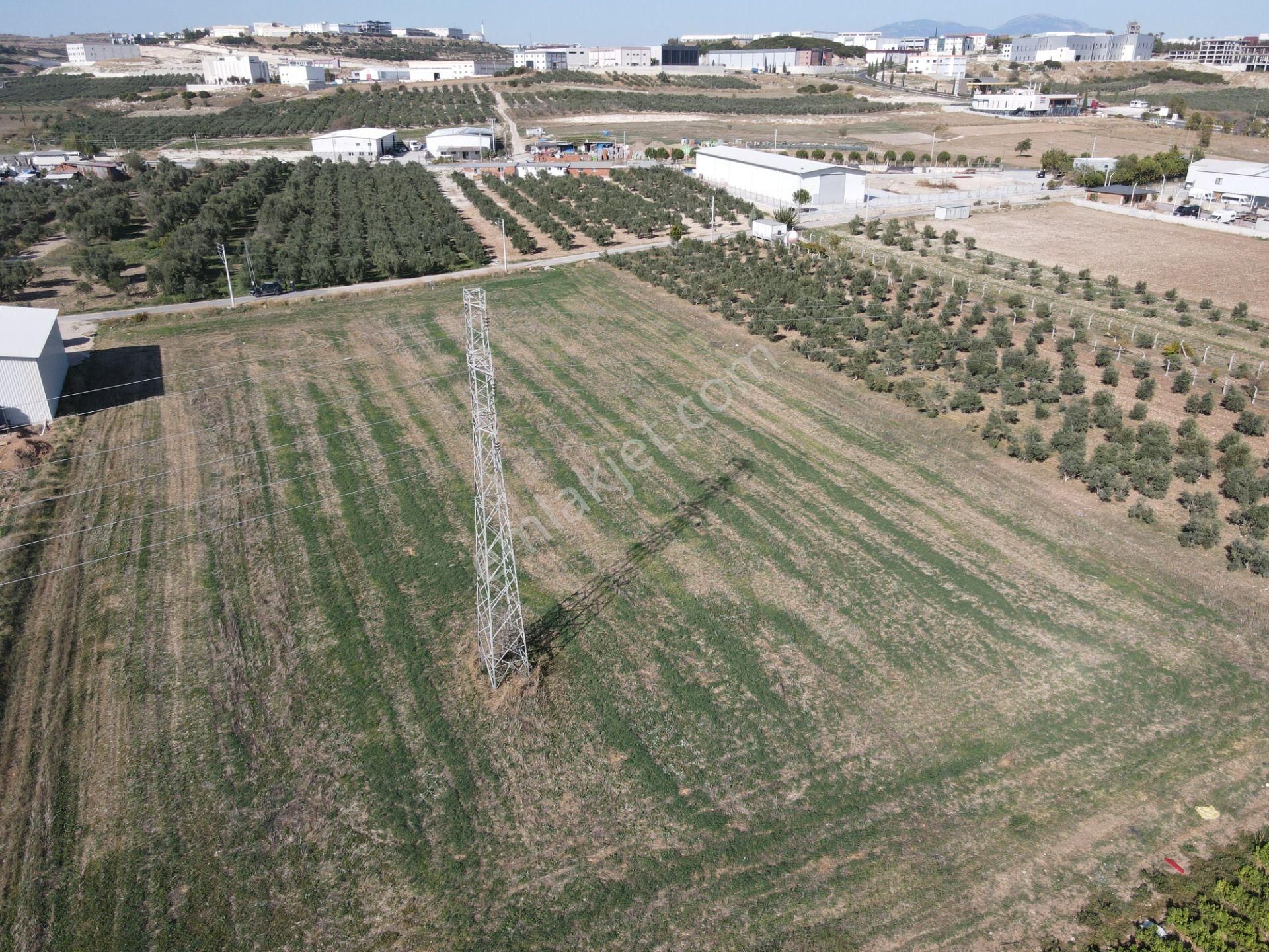 Menderes Tekeli Fevzi Çakmak Satılık Tarla Menderes Turyap'tan Tekeli'de 8.395m² Tek Tapu Satılık Tarla