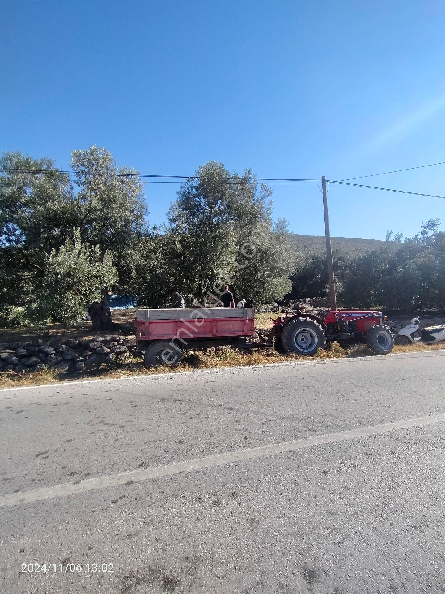 Saadet Korkmaz Emlak'tan Bademli Yoluda Full Deniz Manzaralı Satılık Zeytinli Tarla - Görsel 6