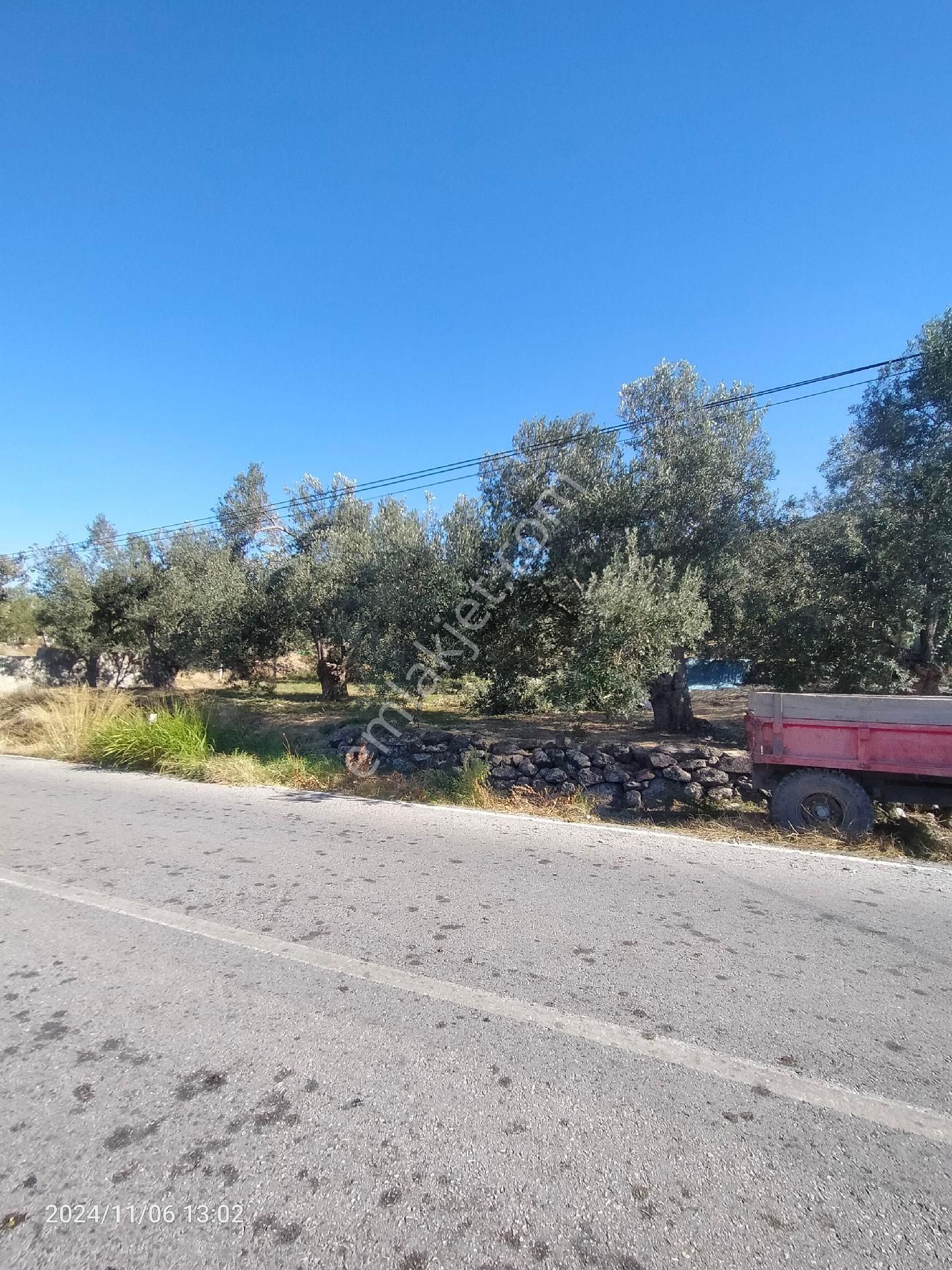 Saadet Korkmaz Emlak'tan Bademli Yoluda Full Deniz Manzaralı Satılık Zeytinli Tarla - Görsel 8