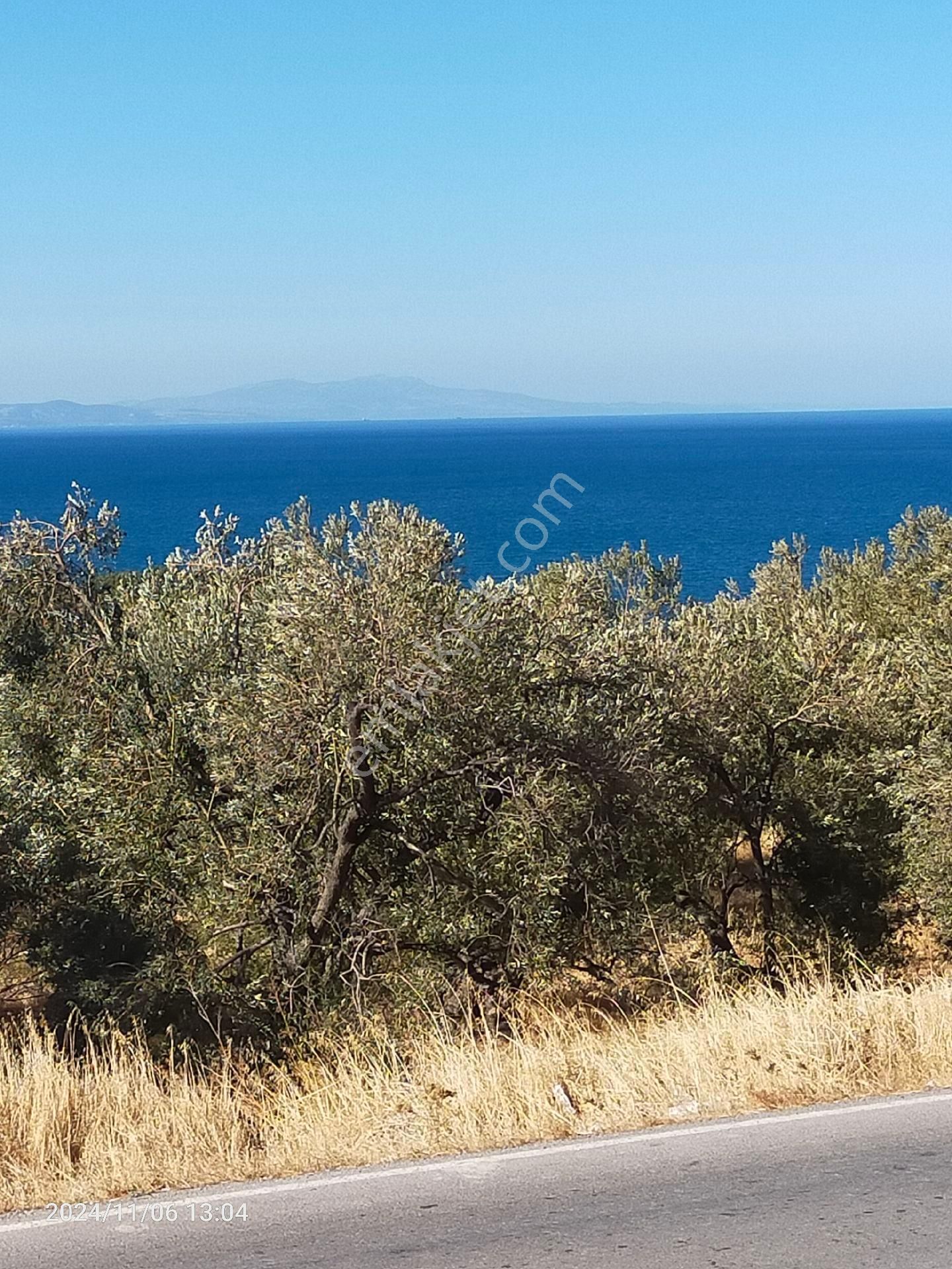 Dikili Yahşibey Satılık Tarla Saadet Korkmaz Emlak'tan Bademli Asfaltına Sıfır Full Deniz Manzaralı Satılık Zeytinli Tarla