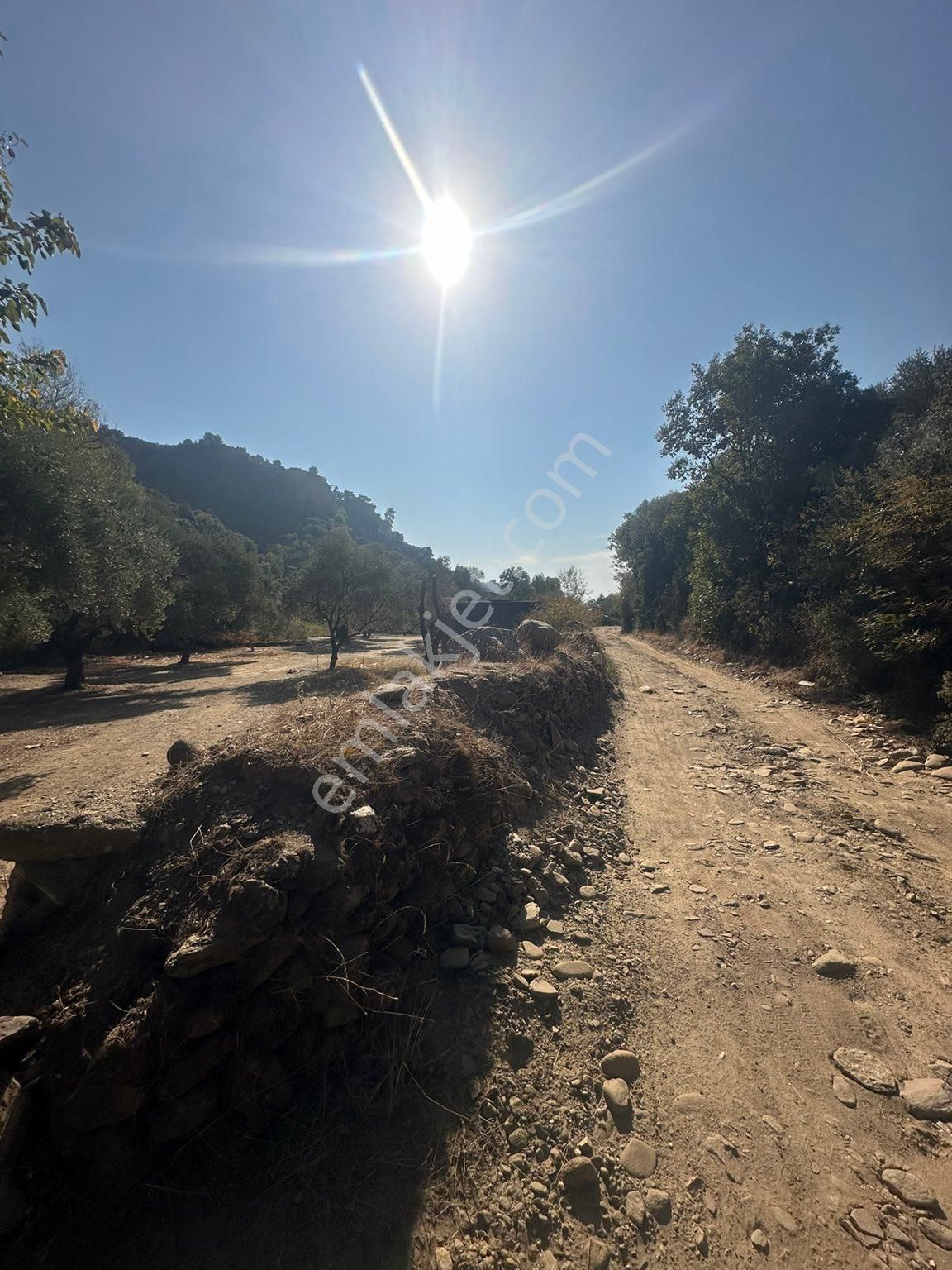 Nazilli Dereağzı Satılık Bağ & Bahçe Nazilli Dereağzı’nda yol kenarı elektrik suyu ve yolu bulunan bahçe