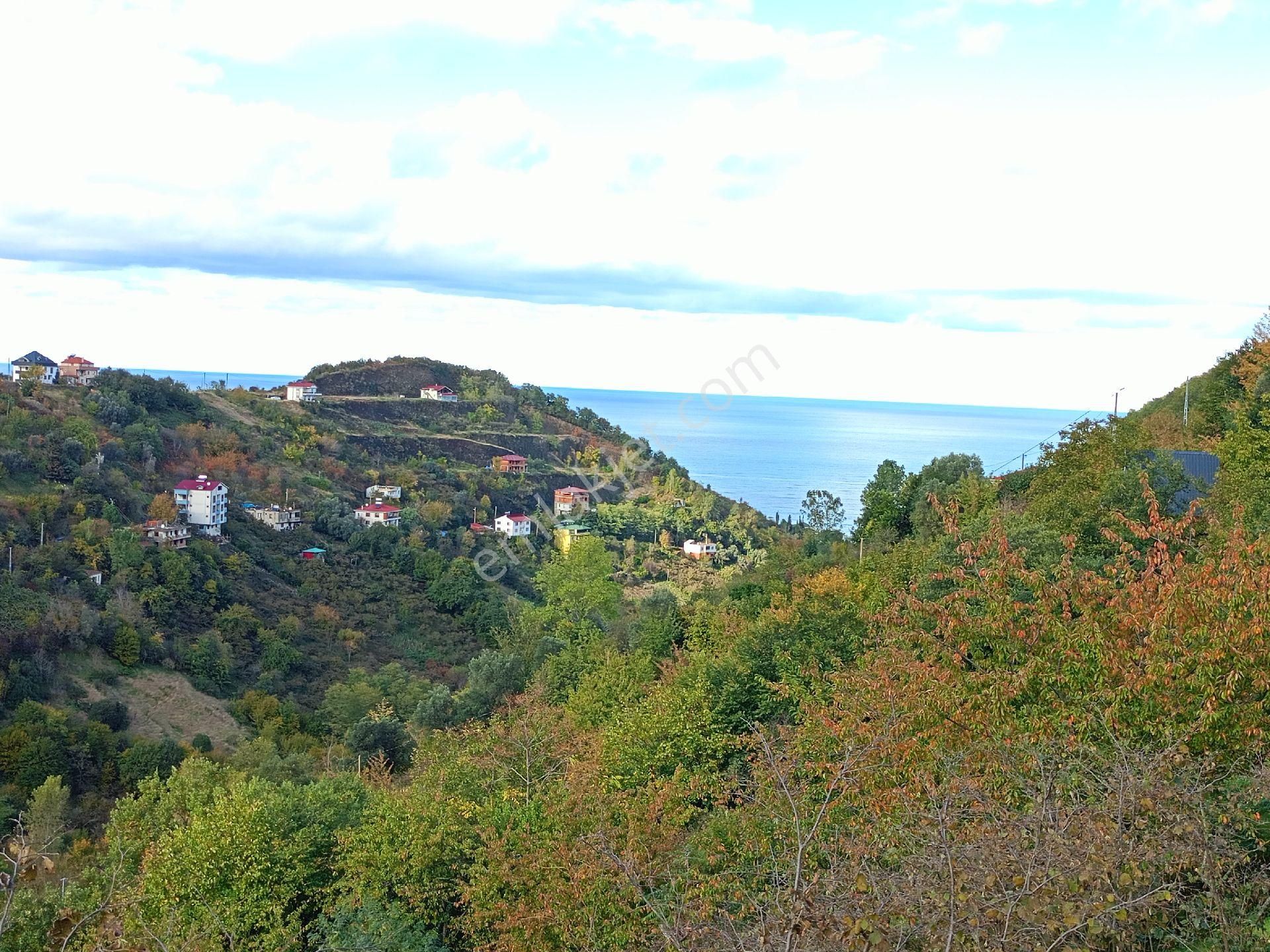 Akçaabat Mersin' De Deniz Manzaralı Satılık 8137 M2 Arazi Ve Müstakil Ev - Görsel 20
