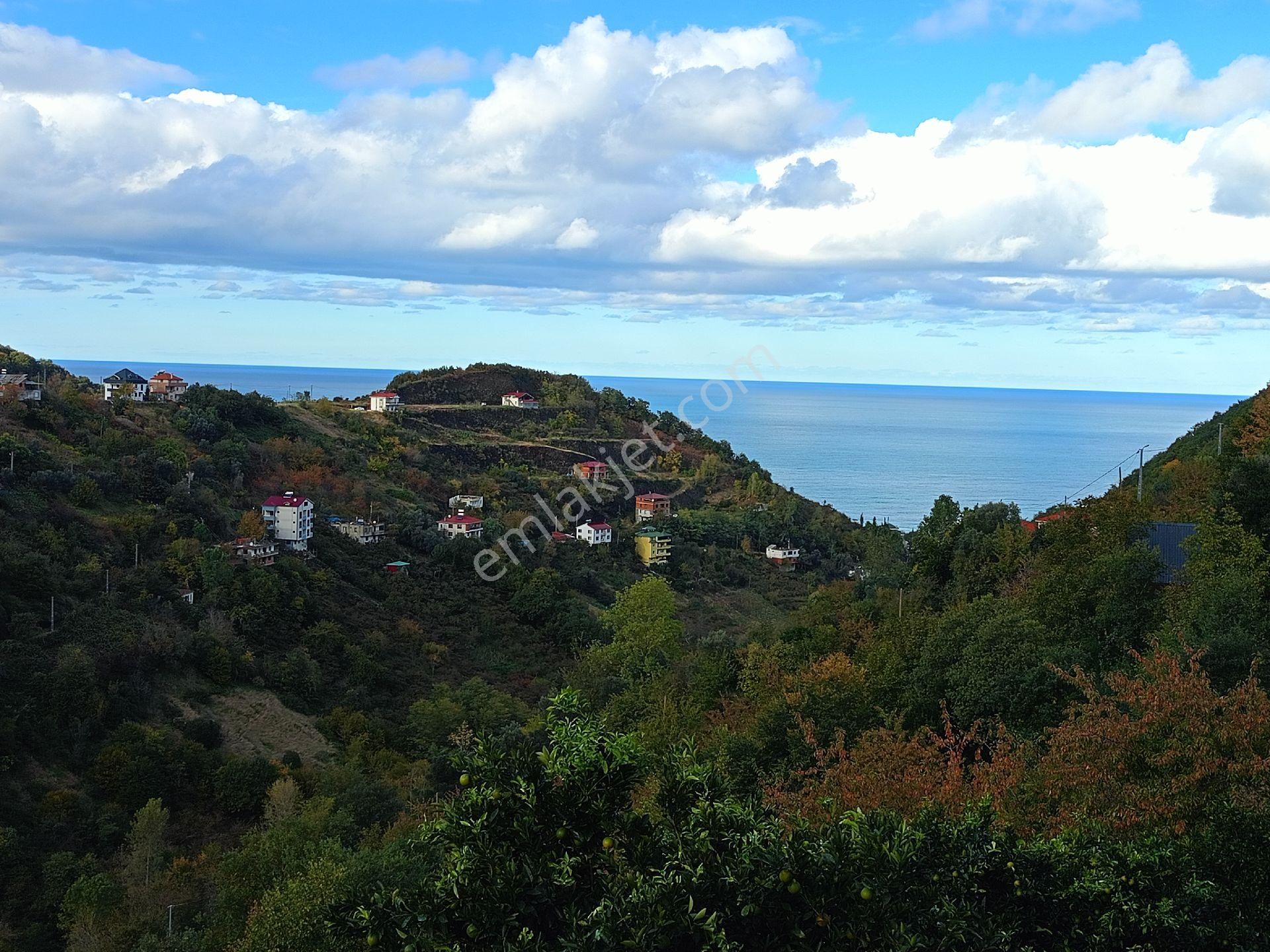 Akçaabat Mersin' De Deniz Manzaralı Satılık 8137 M2 Arazi Ve Müstakil Ev - Görsel 19