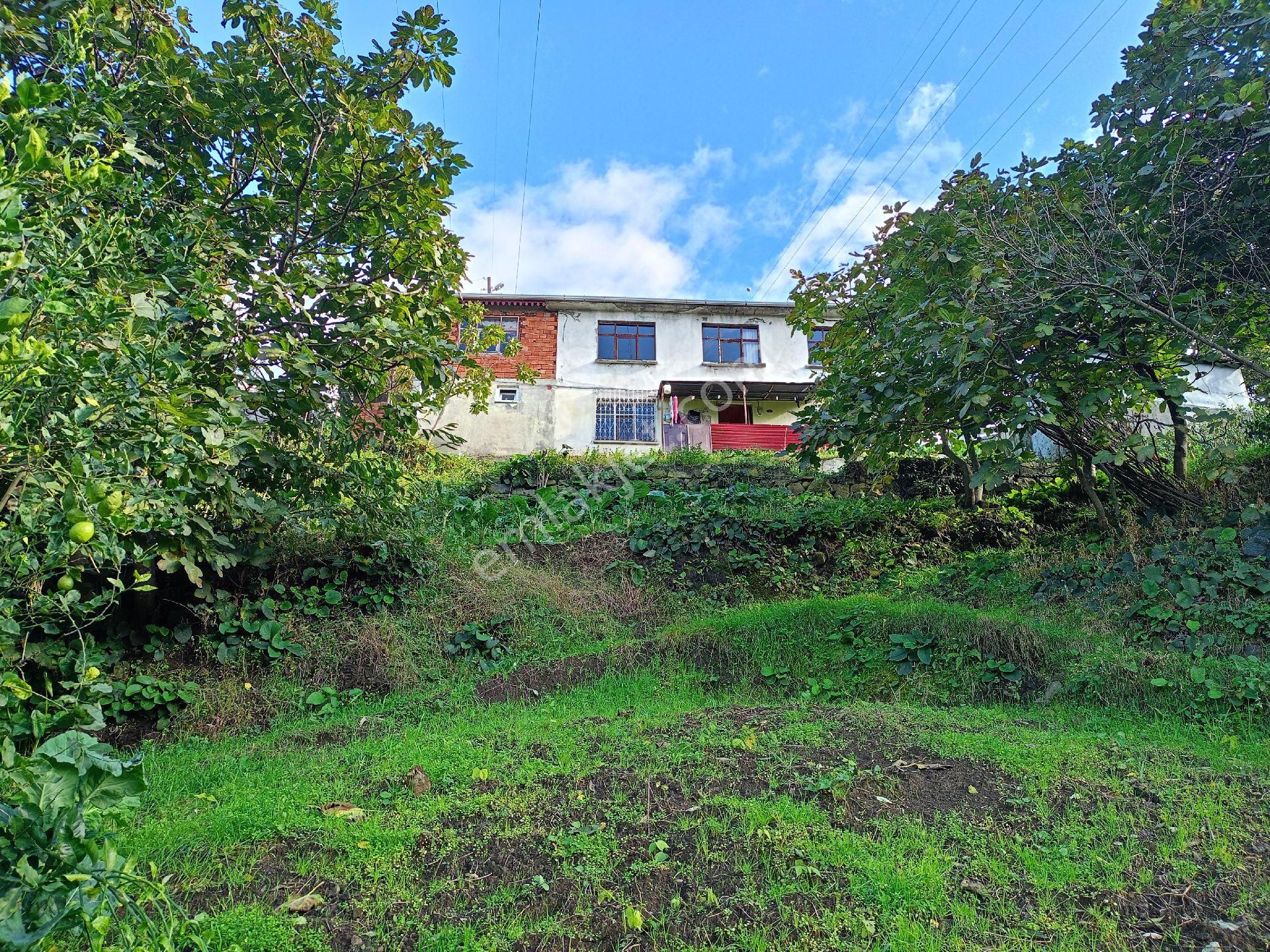 Akçaabat Mersin' De Deniz Manzaralı Satılık 8137 M2 Arazi Ve Müstakil Ev - Görsel 6
