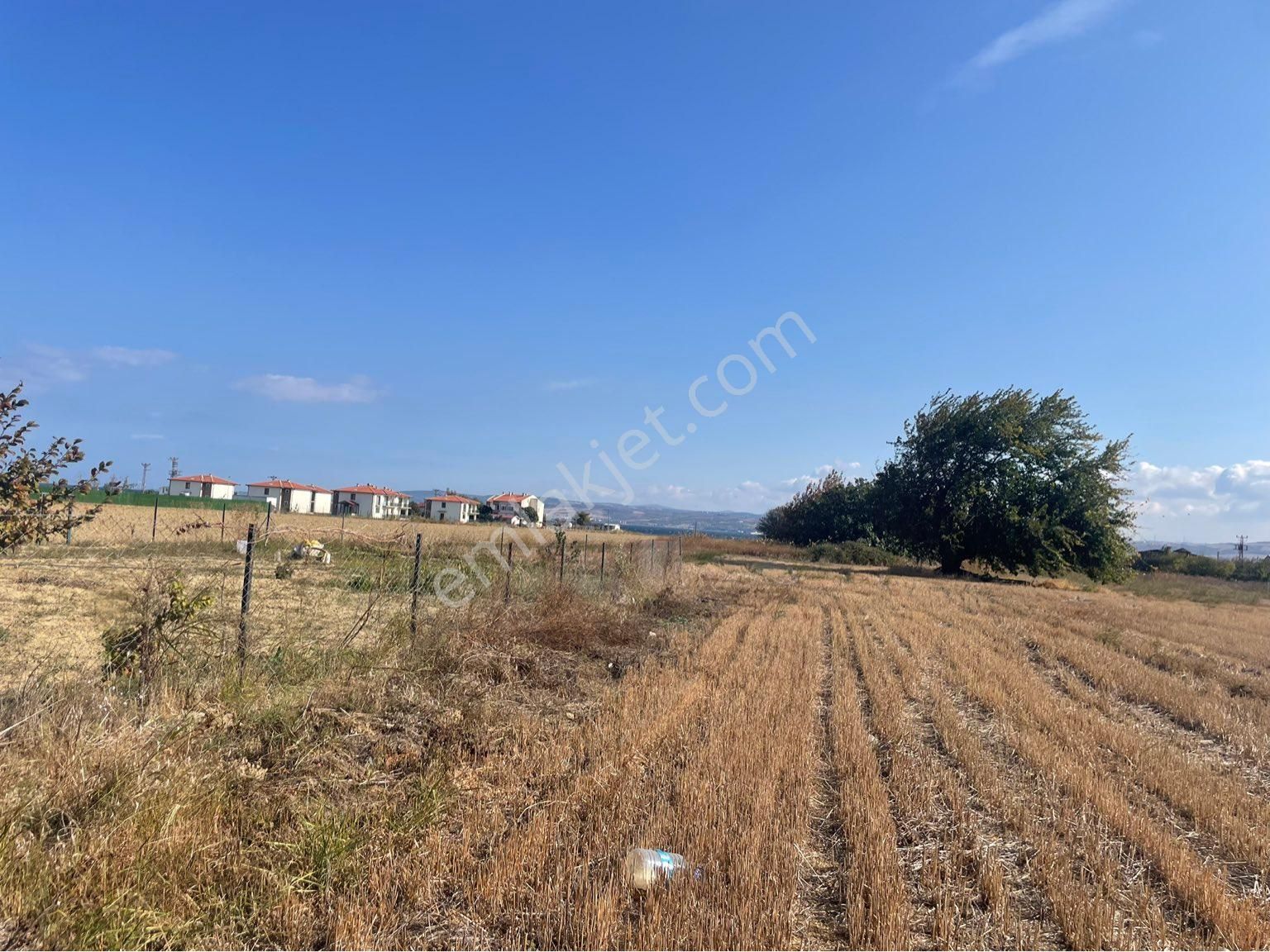 Çanakale Gelibolu Sütlücede Satılık Arsa - Görsel 8