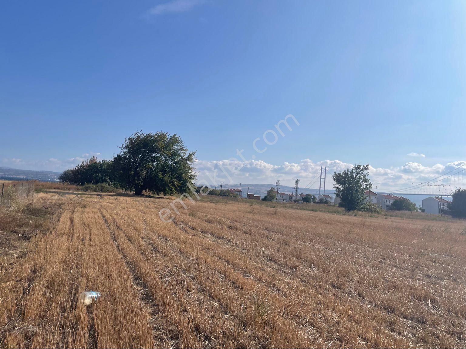 Çanakale Gelibolu Sütlücede Satılık Arsa - Görsel 9