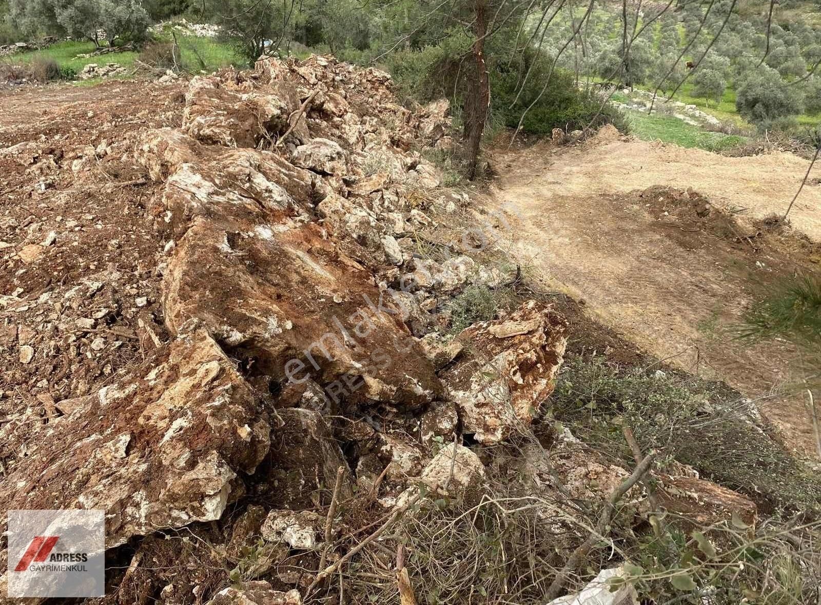 Milas Karacahisar Satılık Tarla Milas Karacahisar Mah.köy İçinde Satılık Tarla