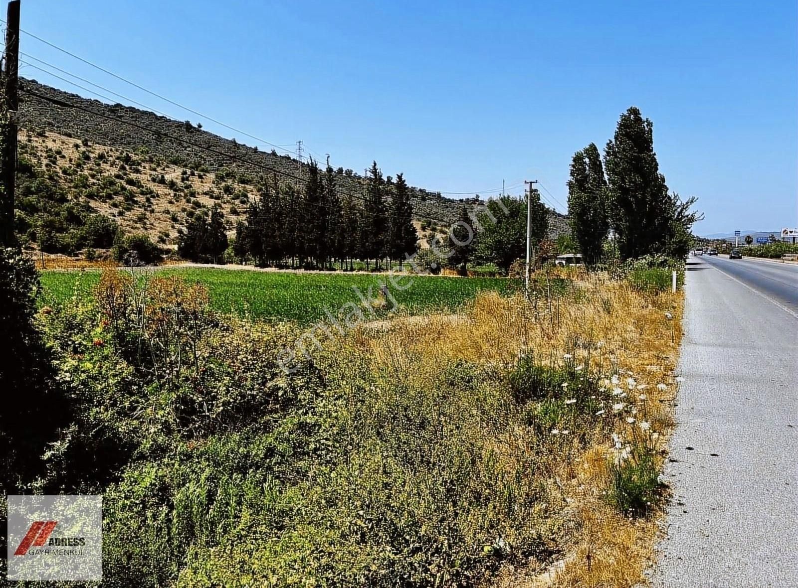 Milas-bodrum Anayoluna Sıfır Satılık Tarla - Görsel 8