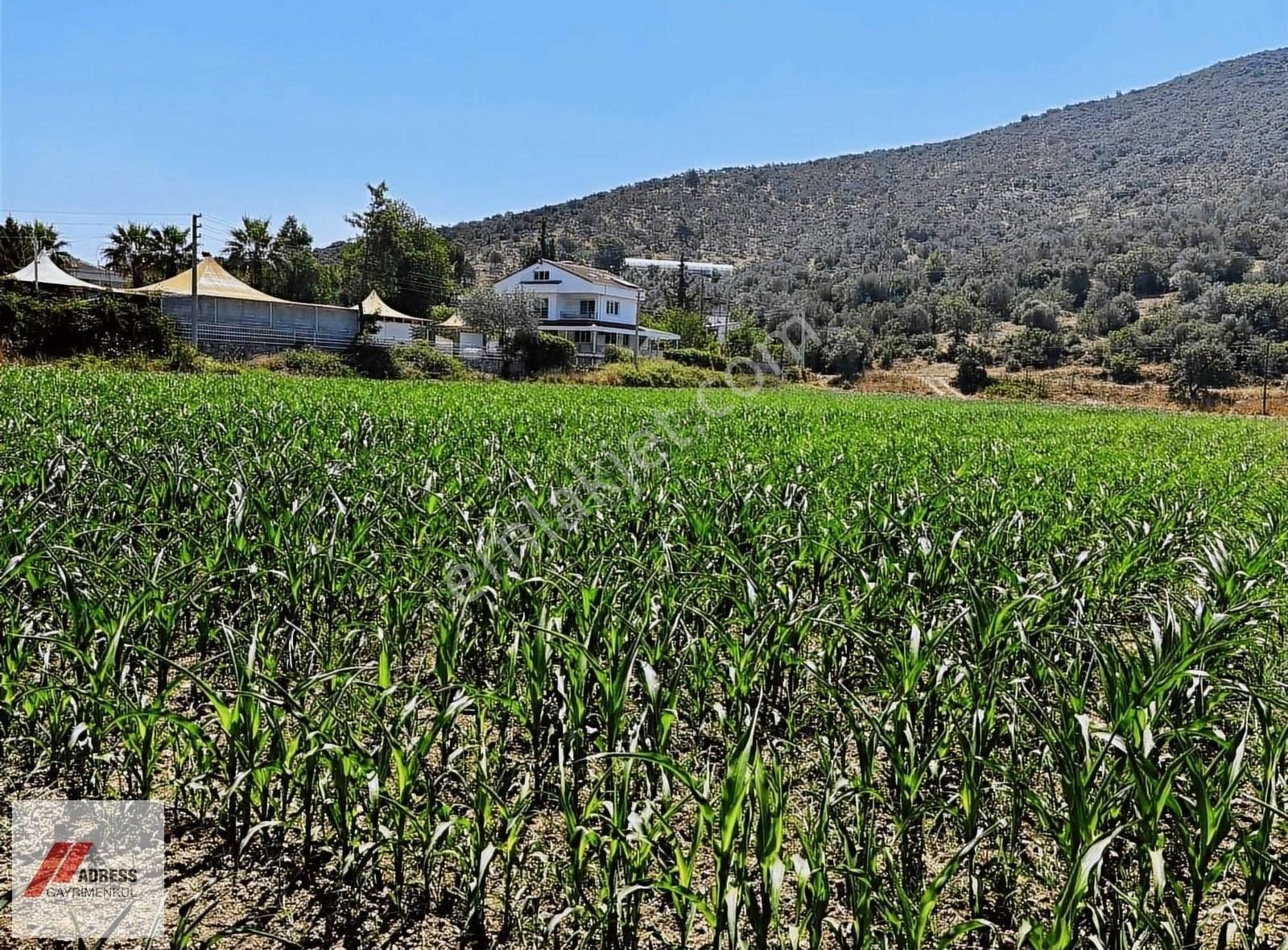 Milas-bodrum Anayoluna Sıfır Satılık Tarla - Görsel 6