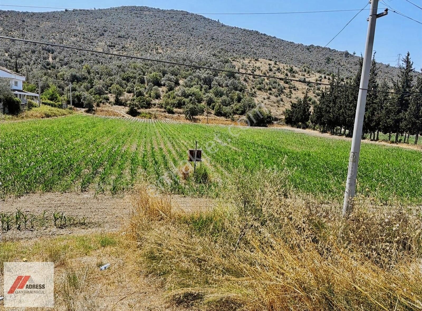 Milas-bodrum Anayoluna Sıfır Satılık Tarla - Görsel 2