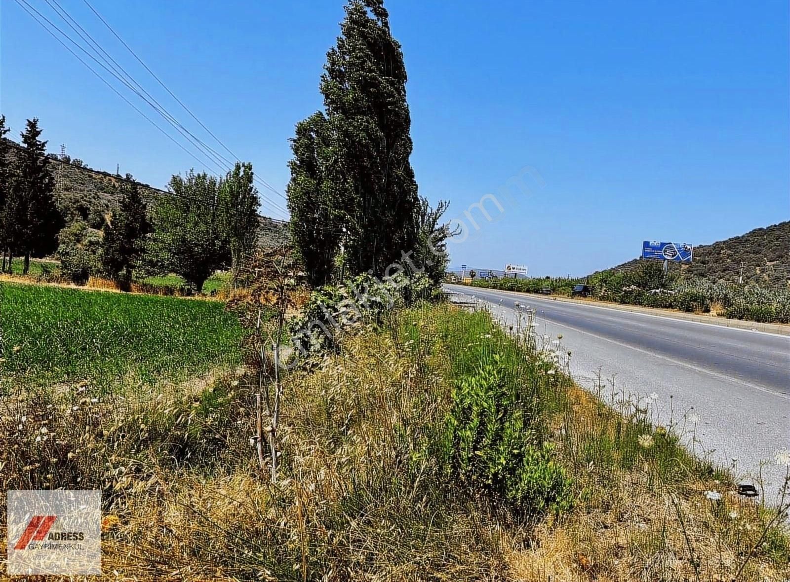 Milas-bodrum Anayoluna Sıfır Satılık Tarla - Görsel 5