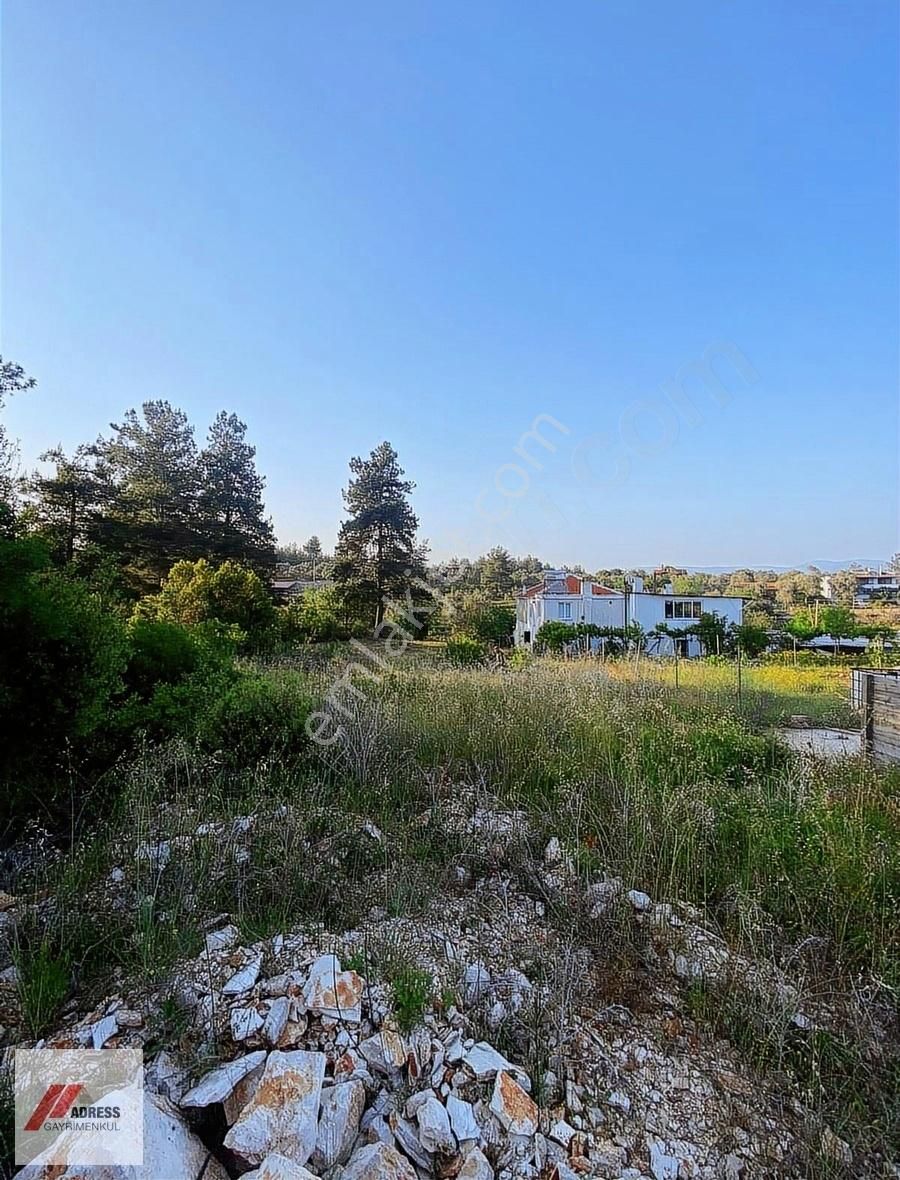 Milas Karacahisar Köyiçinde Satılık Tarla - Görsel 8