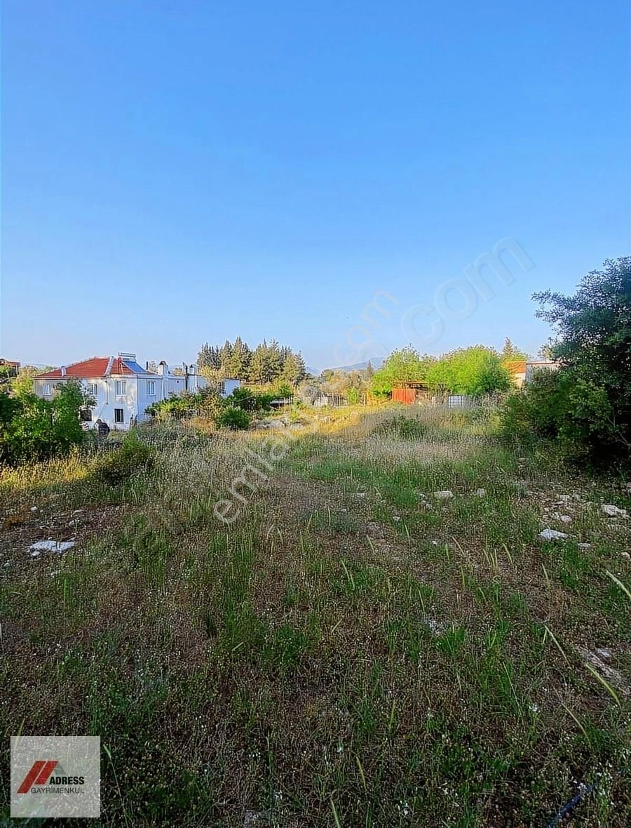 Milas Karacahisar Köyiçinde Satılık Tarla - Görsel 9