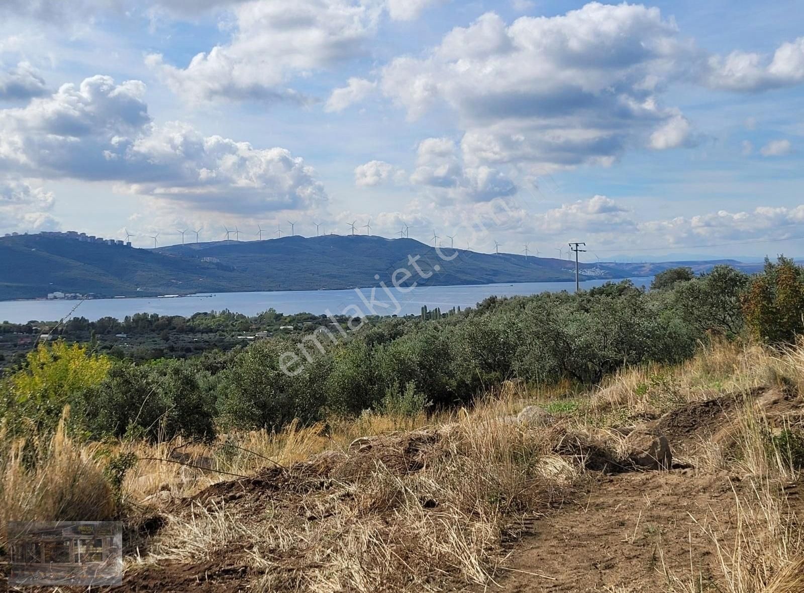 Erdek Belkıs Satılık Zeytinlik PRESTİJDEN BANDIRMA VE ERDEK KÖRFEZ DENİZ MANZARALI ARAZİ