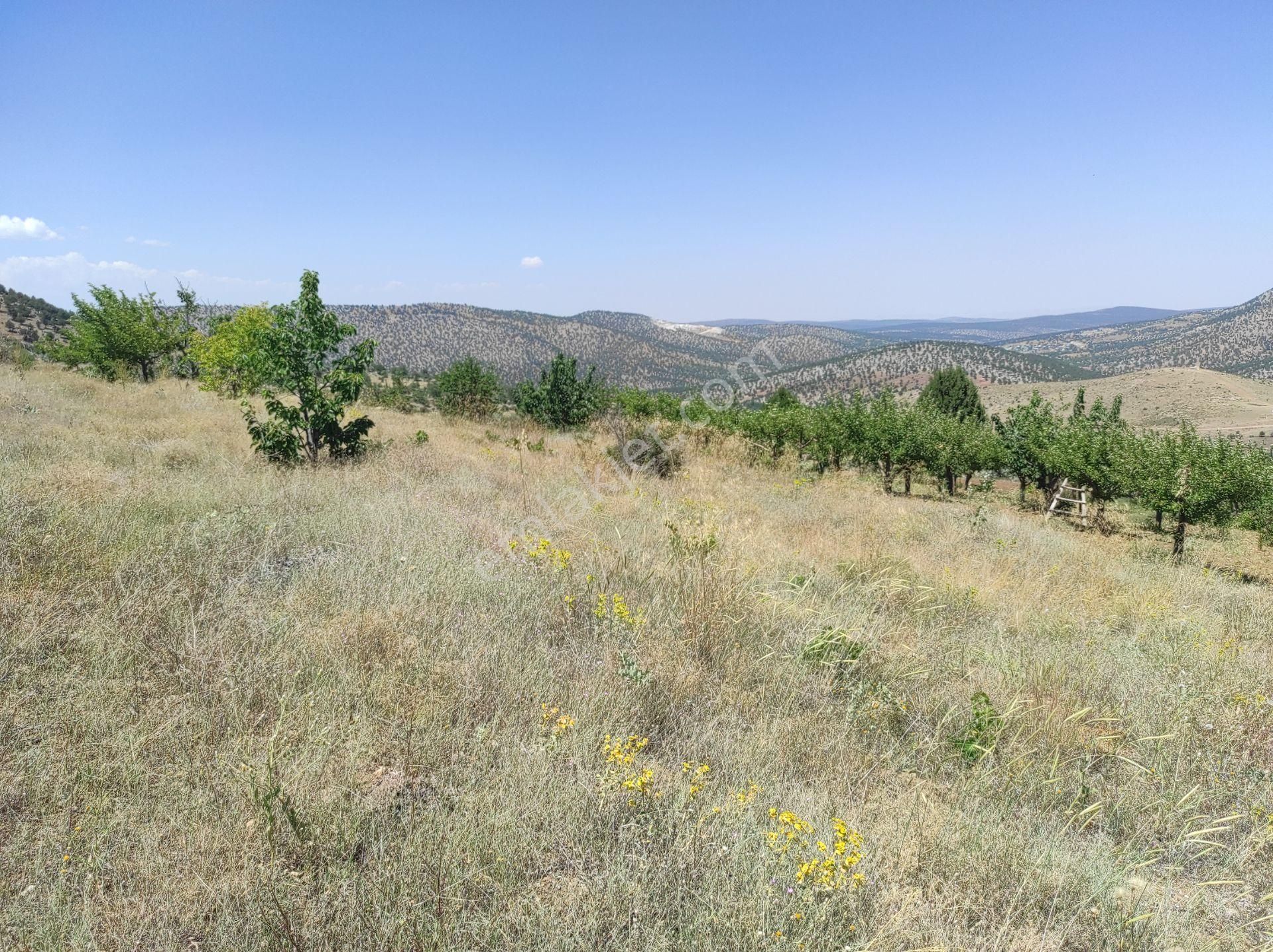 Bozkır Hacılar Satılık Bağ & Bahçe  KONYA BOZKIR HACILAR KÖYÜNDE 538 M2 BAĞIMIZ SATILIK