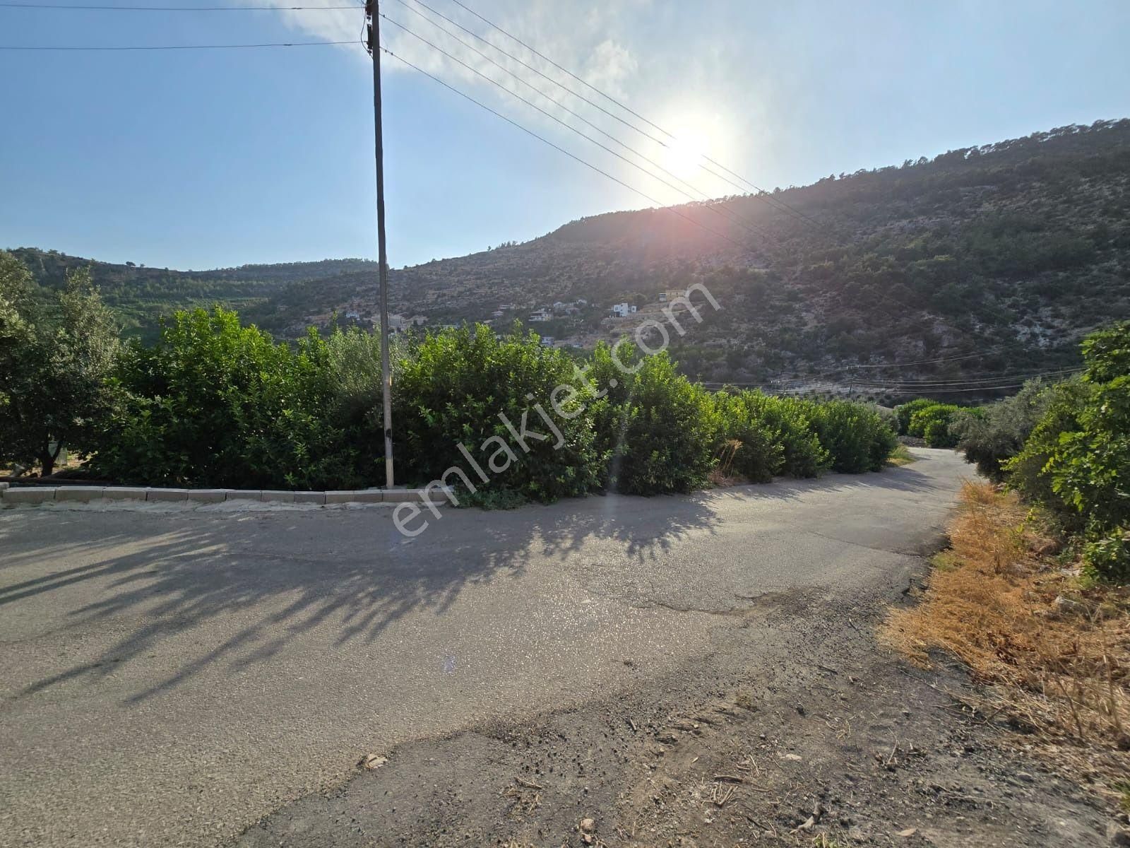 Mezitli Doğlu Satılık Konut İmarlı Tece Doğlu Mahallesinde İmarlı 310 M2 Asfalt Yol Cepheli Arsa