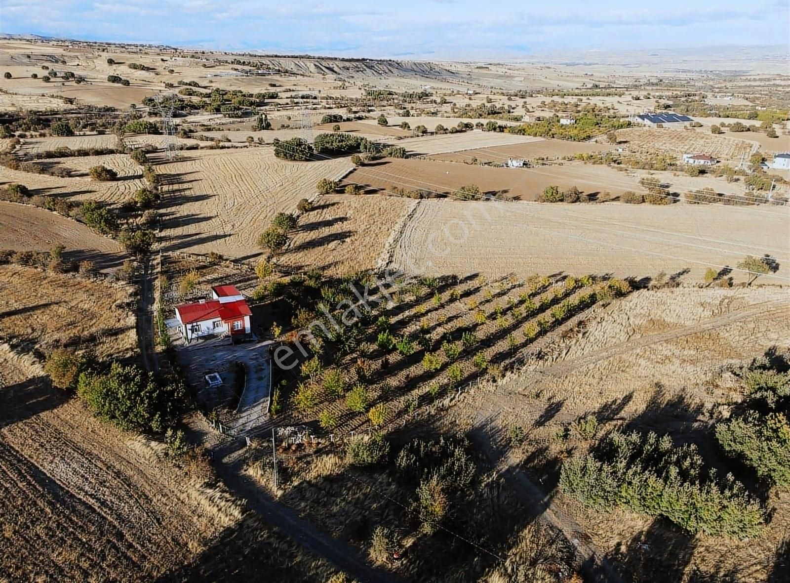 Elazığ Merkez Sütlüce Köyü (Emiruşağı) Satılık Bağ & Bahçe SÜTLÜCE DE ÇOK UYGUN FİYATA TARLA