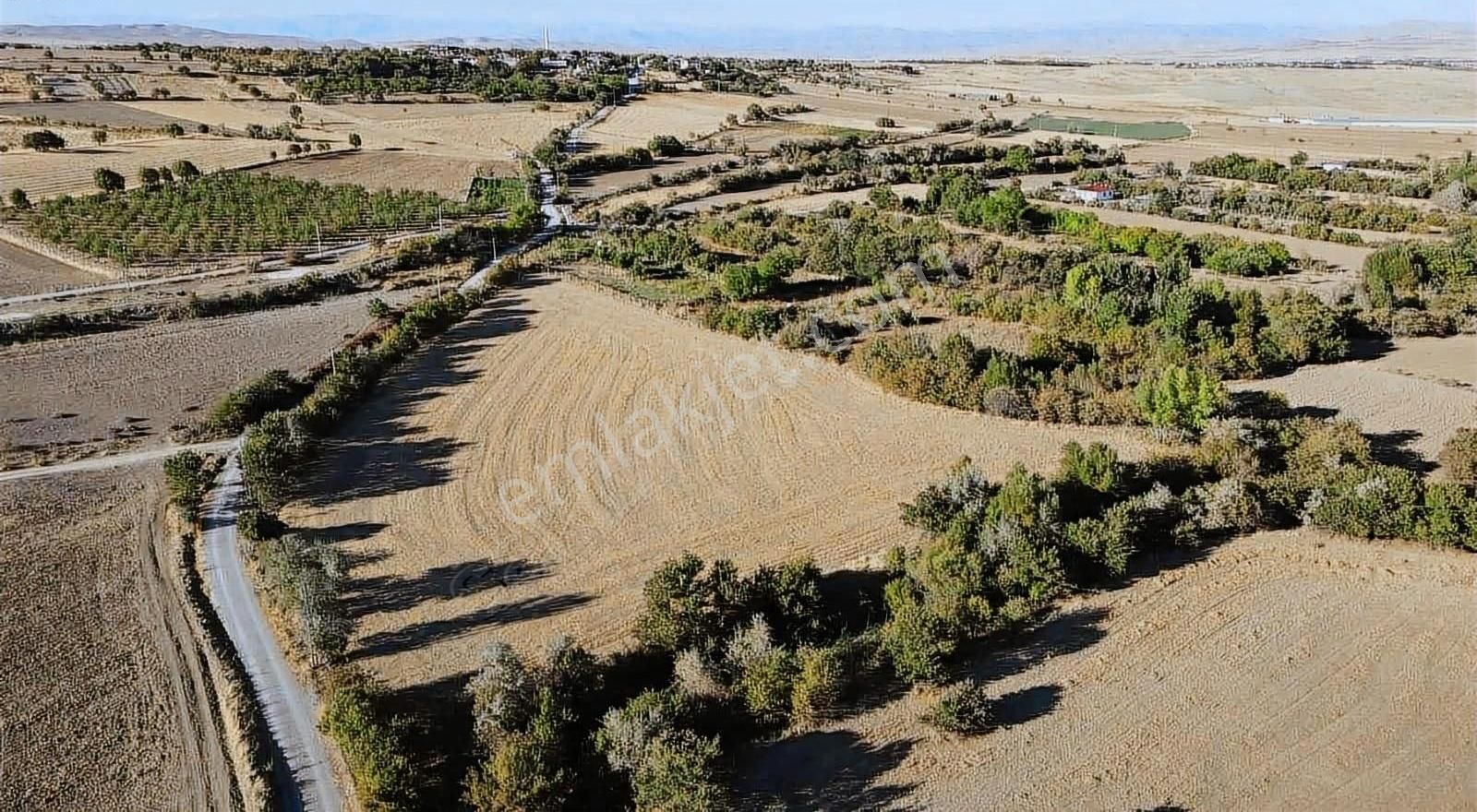 Elazığ Merkez Beşikköy Köyü (Merkez) Satılık Tarla ELAZIĞ EMLAKTAN BEŞİK KÖYÜNDE SATILIK TARLA