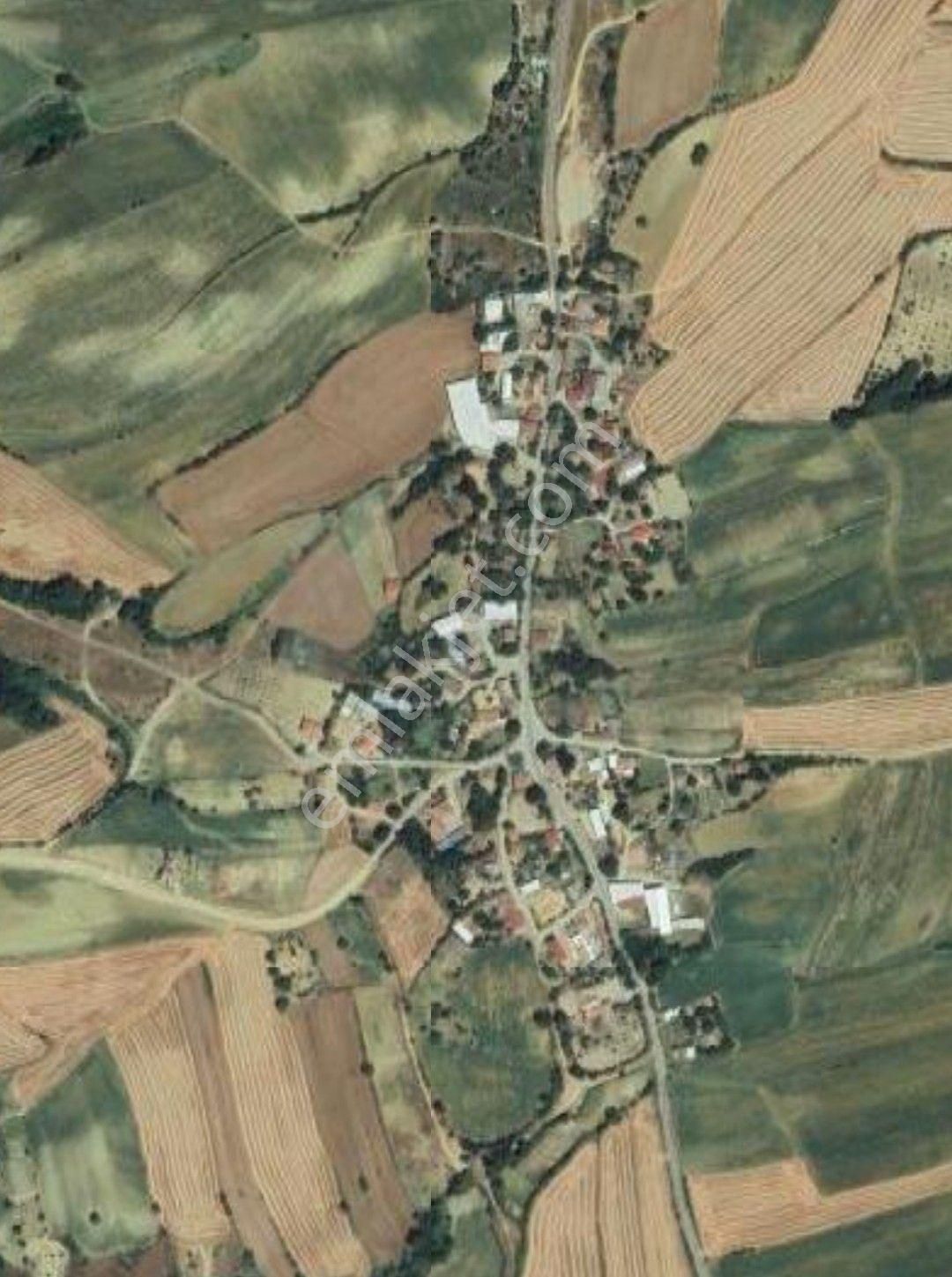 Tekirdağ, Süleymanpaşa,oruçbeyli,köşe,çift,yola,cepheli,konut,imarlı,köy,içi,arsa