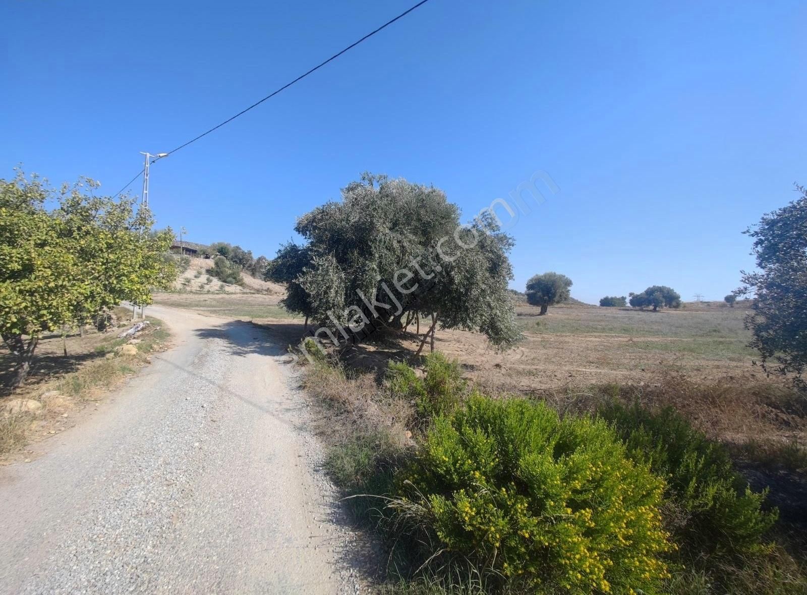 Manavgat Yavrudoğan Satılık Tarla Yavrudoğan Da Satılık Kadastro Yoluna Sıfır Tarla