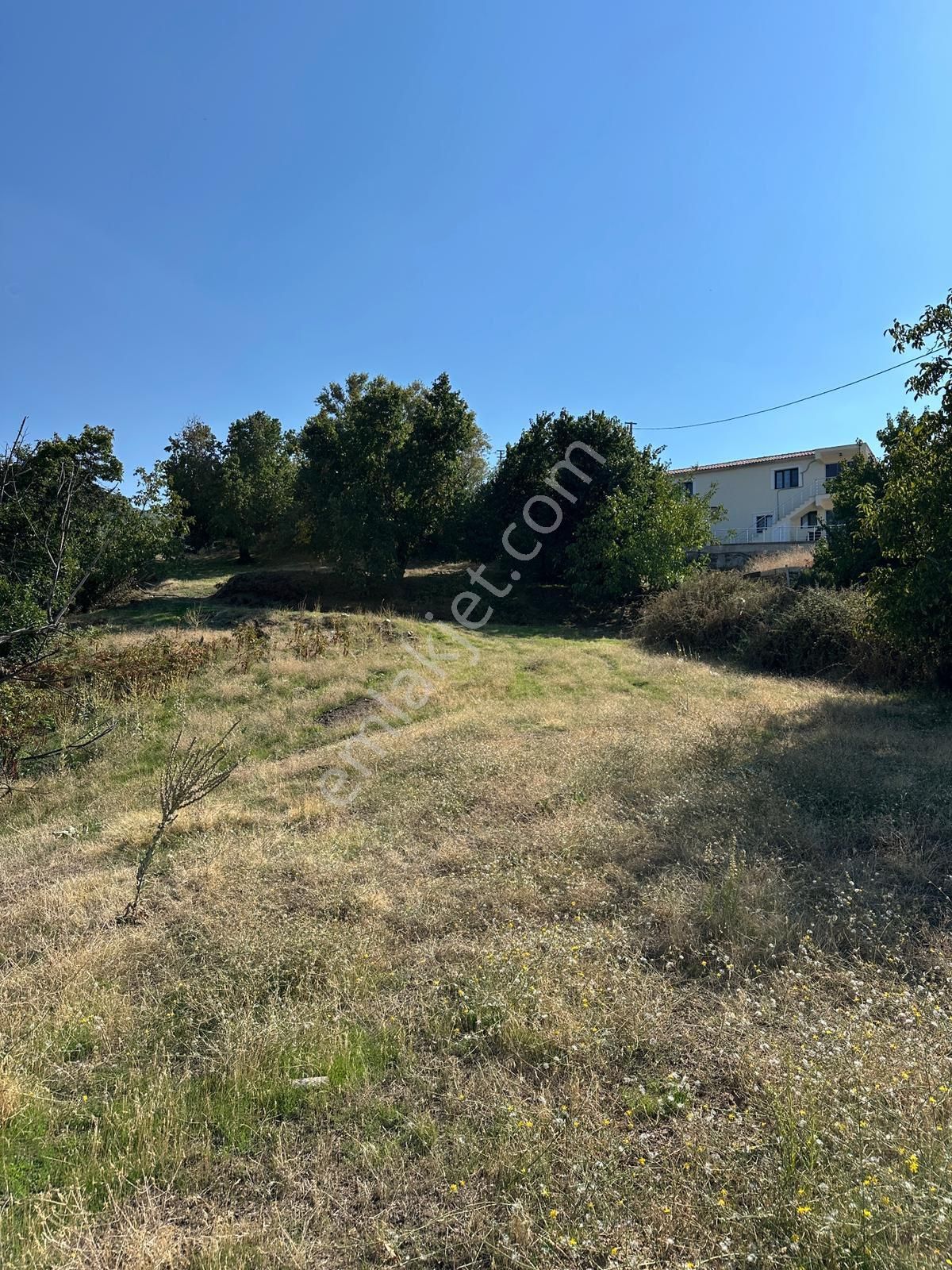 Akyörük Gayrimenkulden Satılık Tarla - Görsel 23